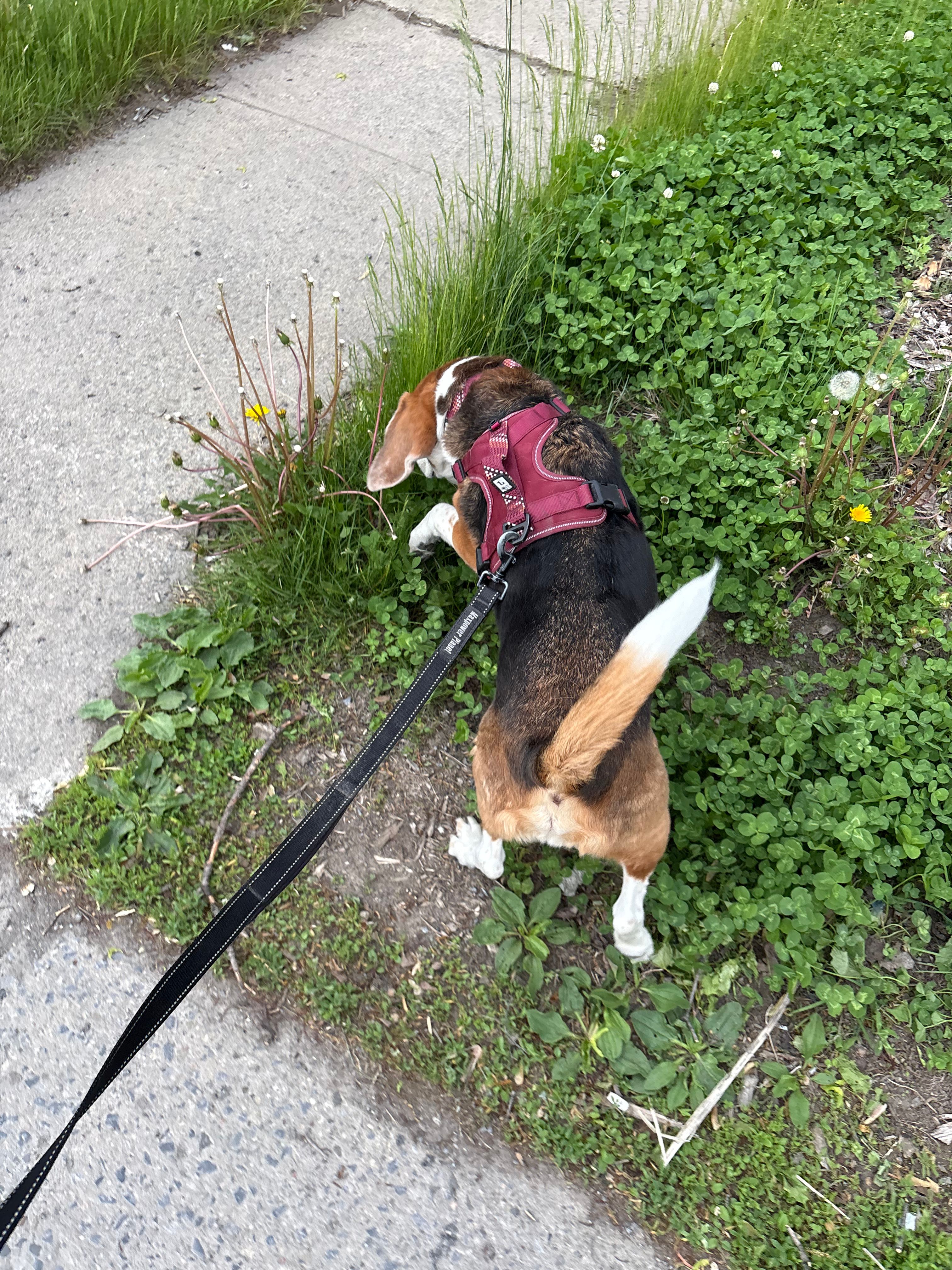 image-28