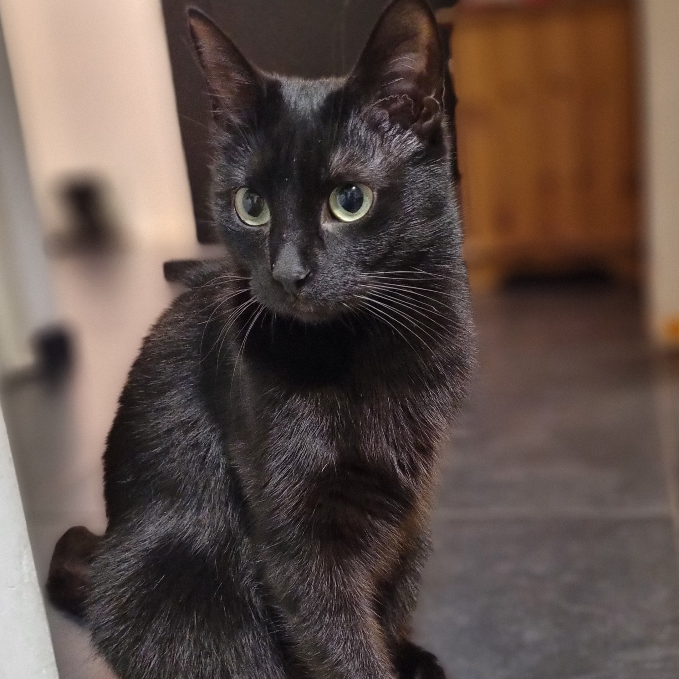 Audrey