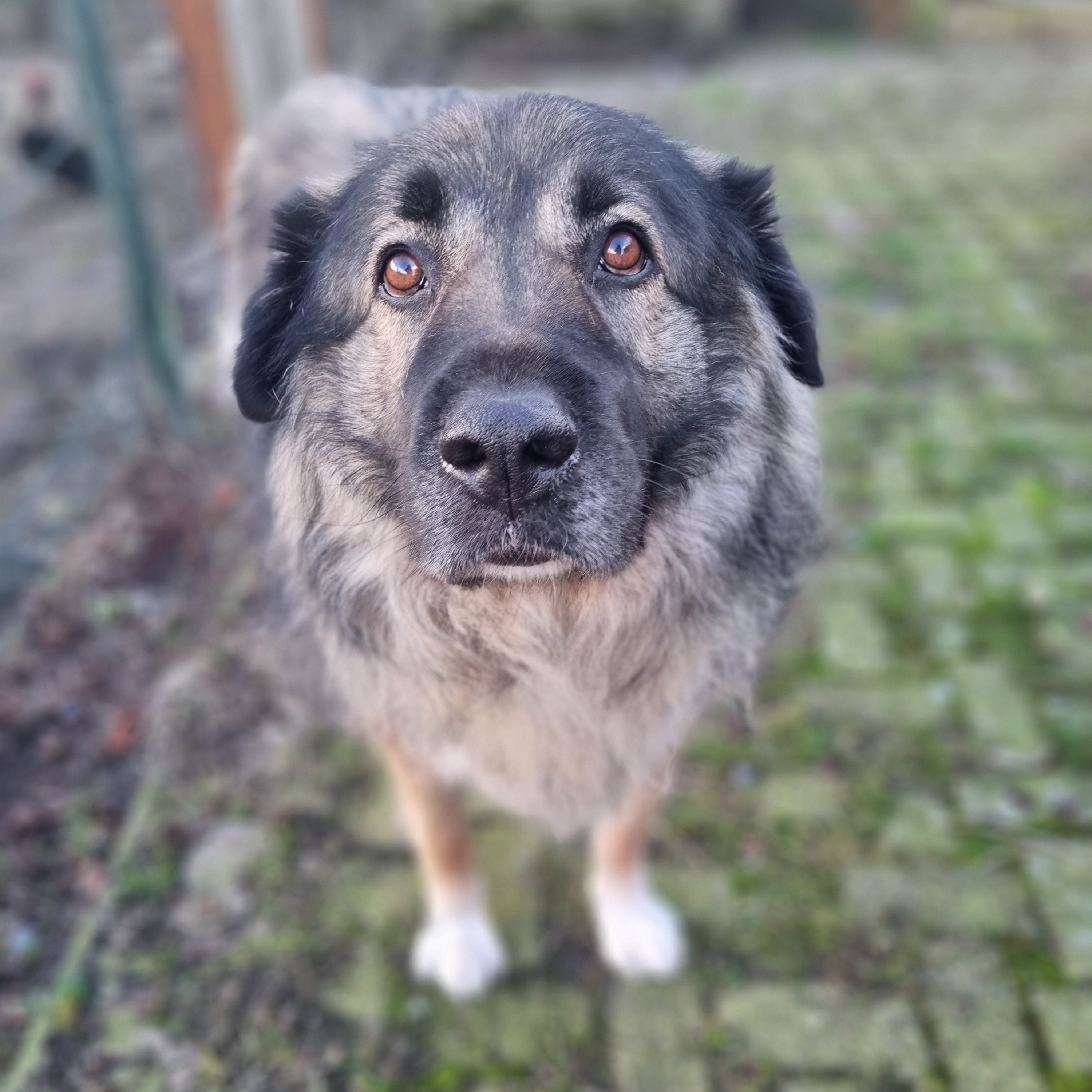 Zeus