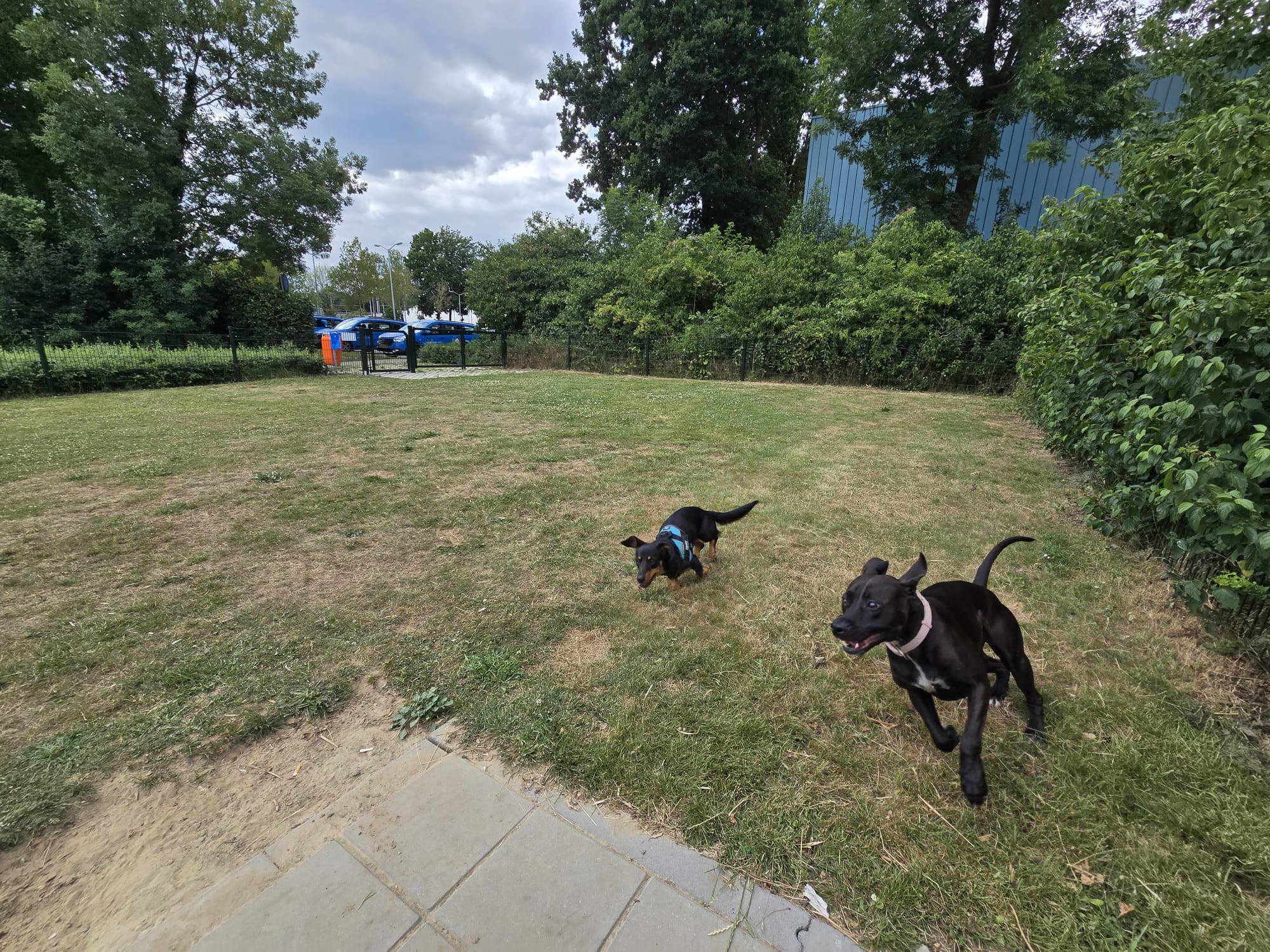 image-10