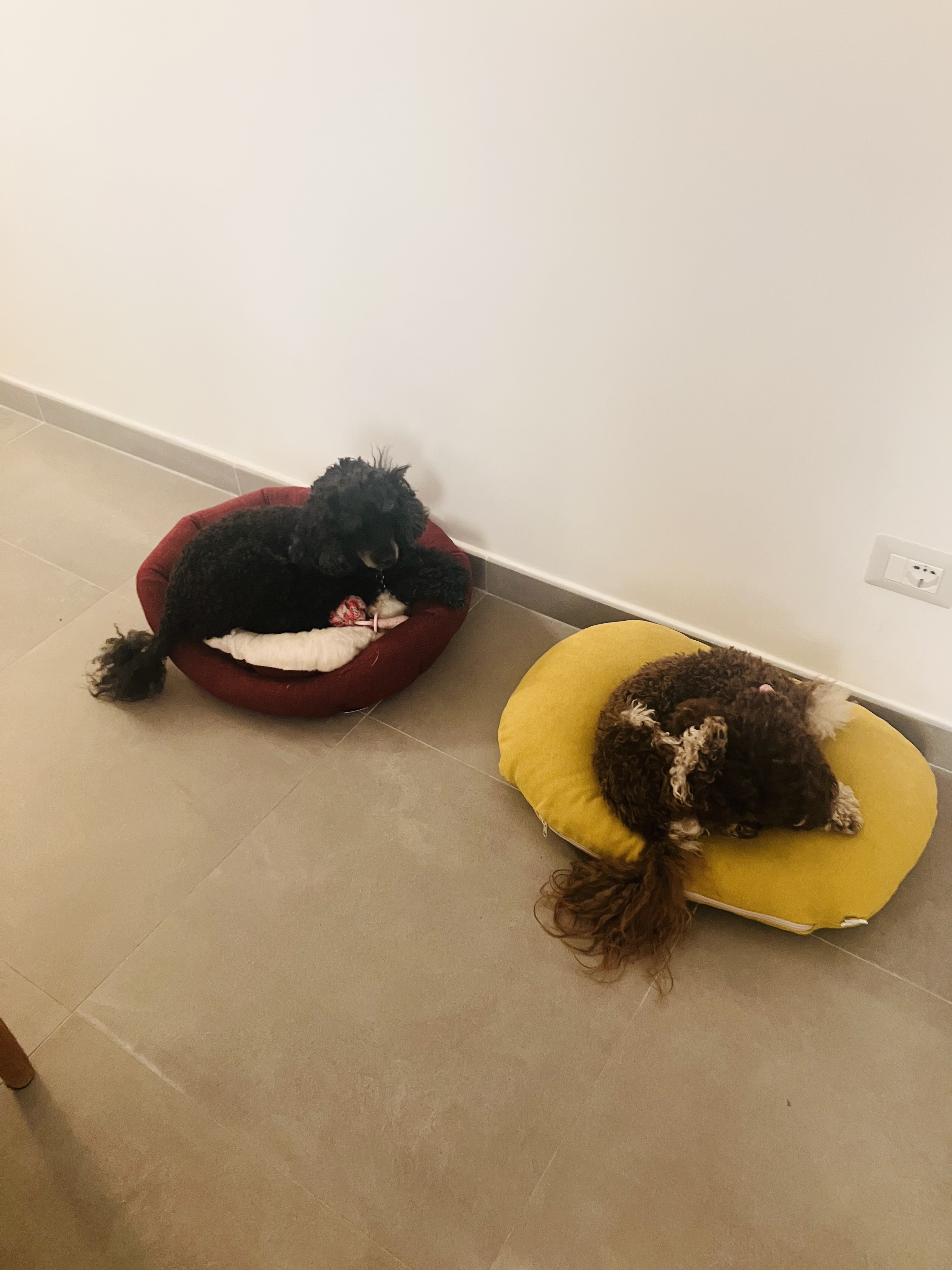 image-10