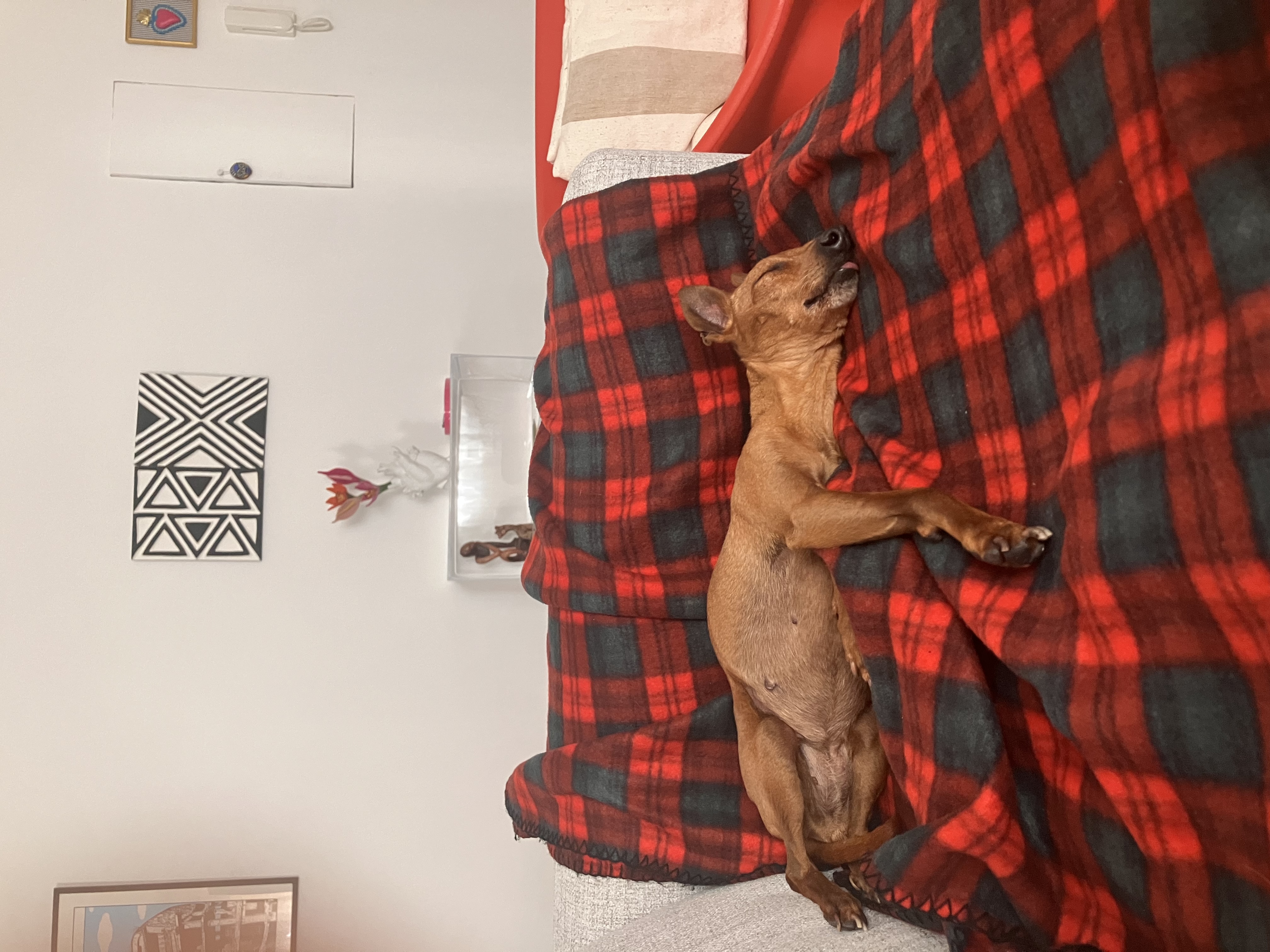 image-6