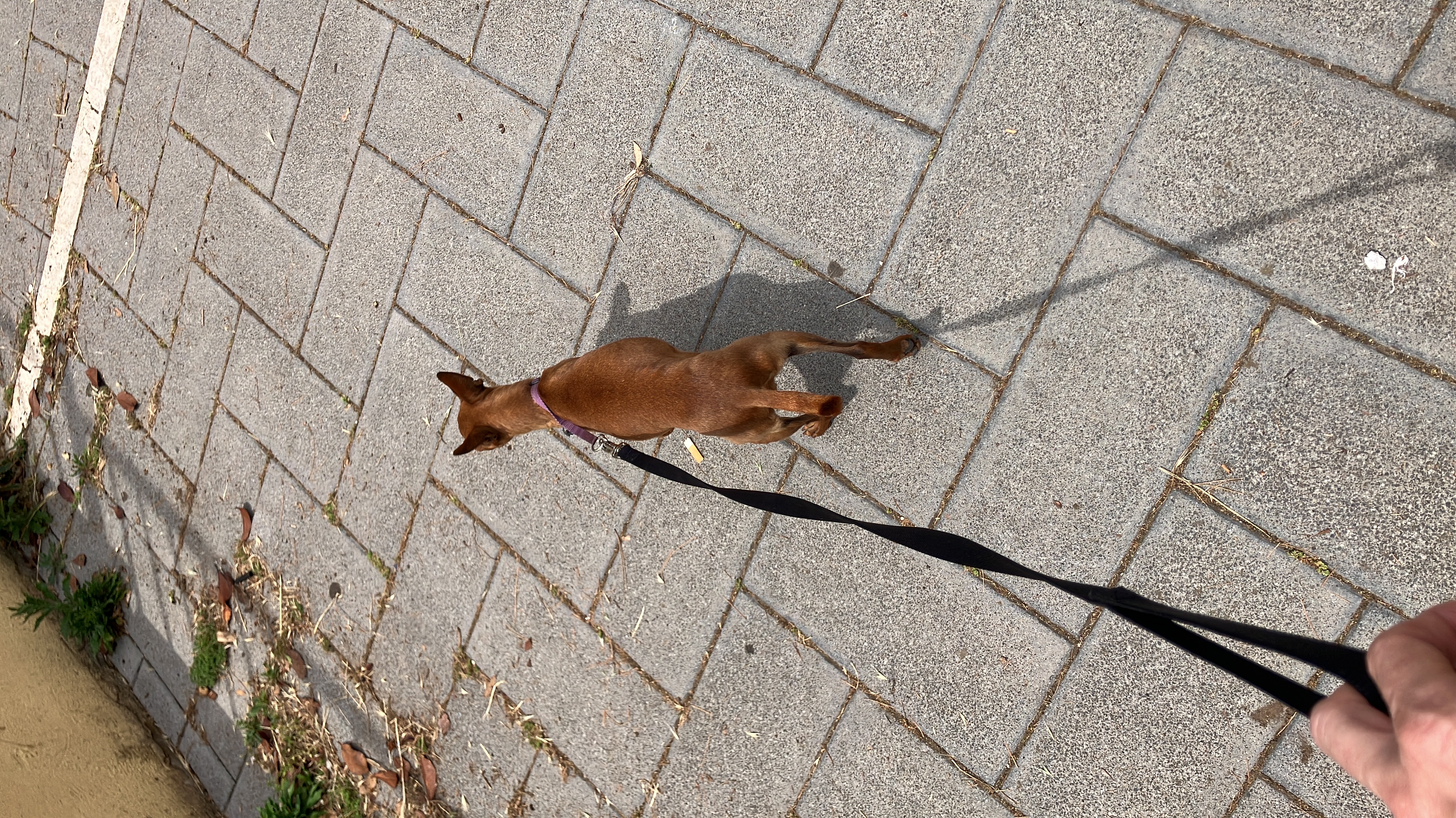 image-7