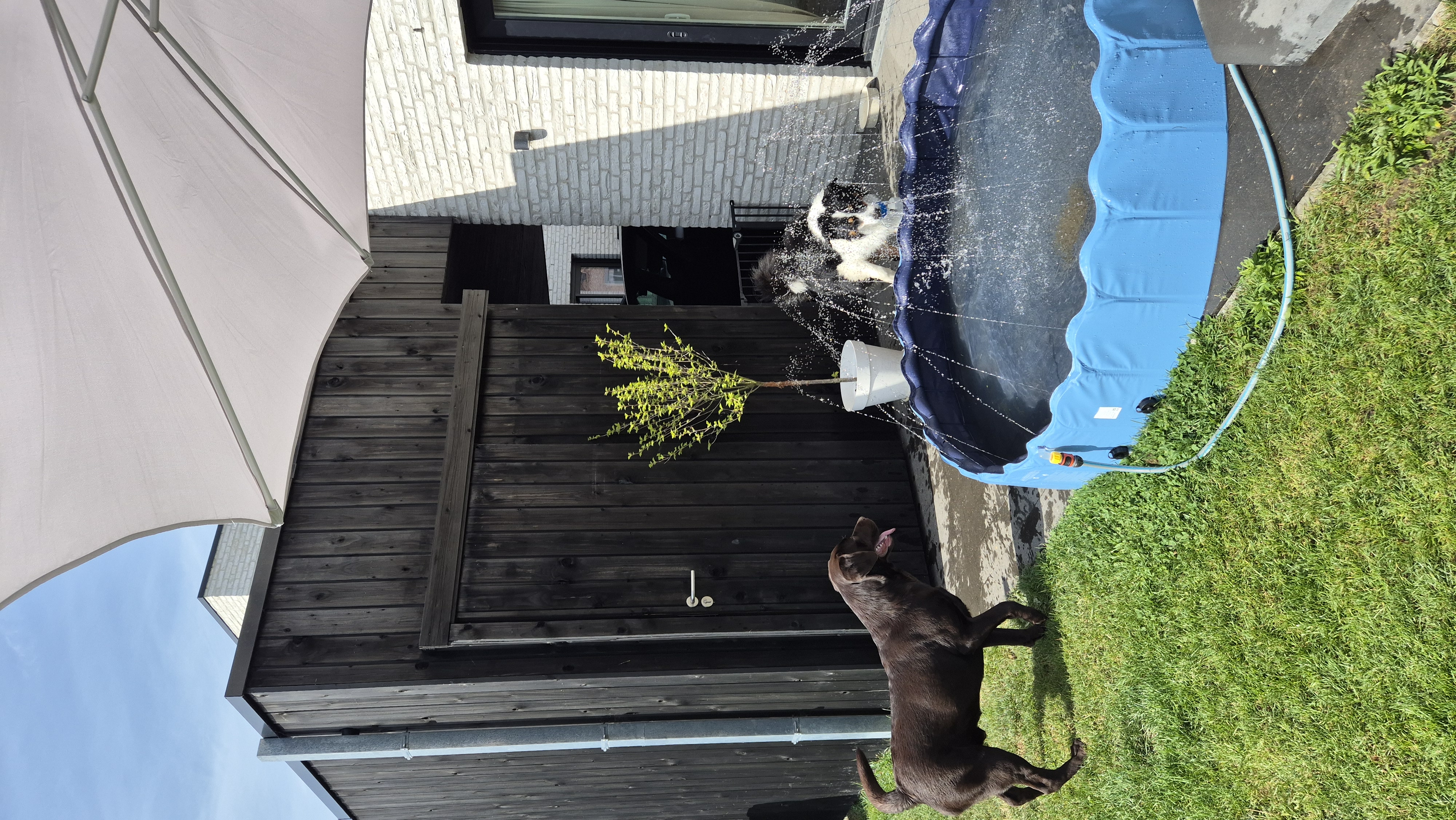 image-20