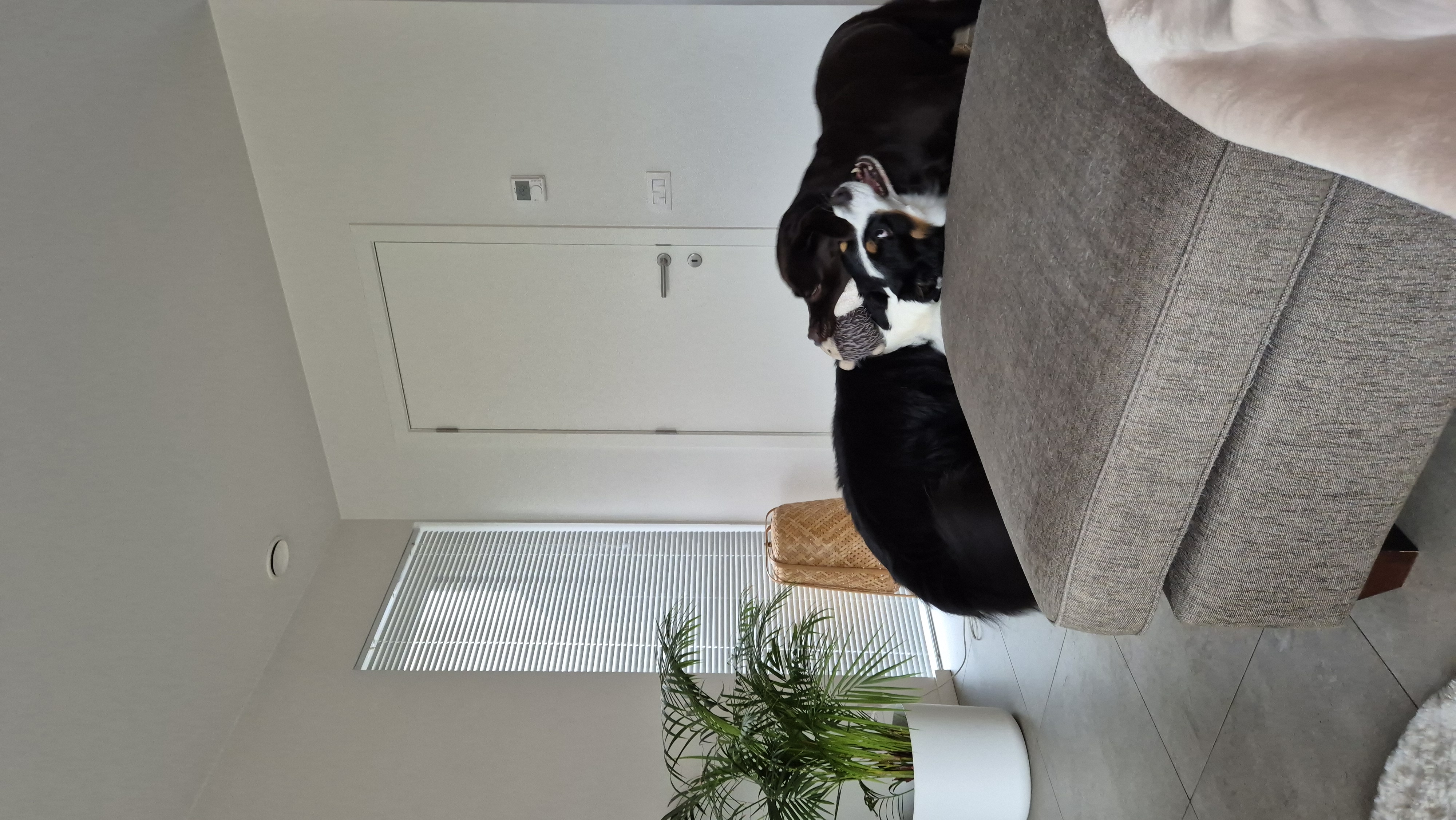 image-16