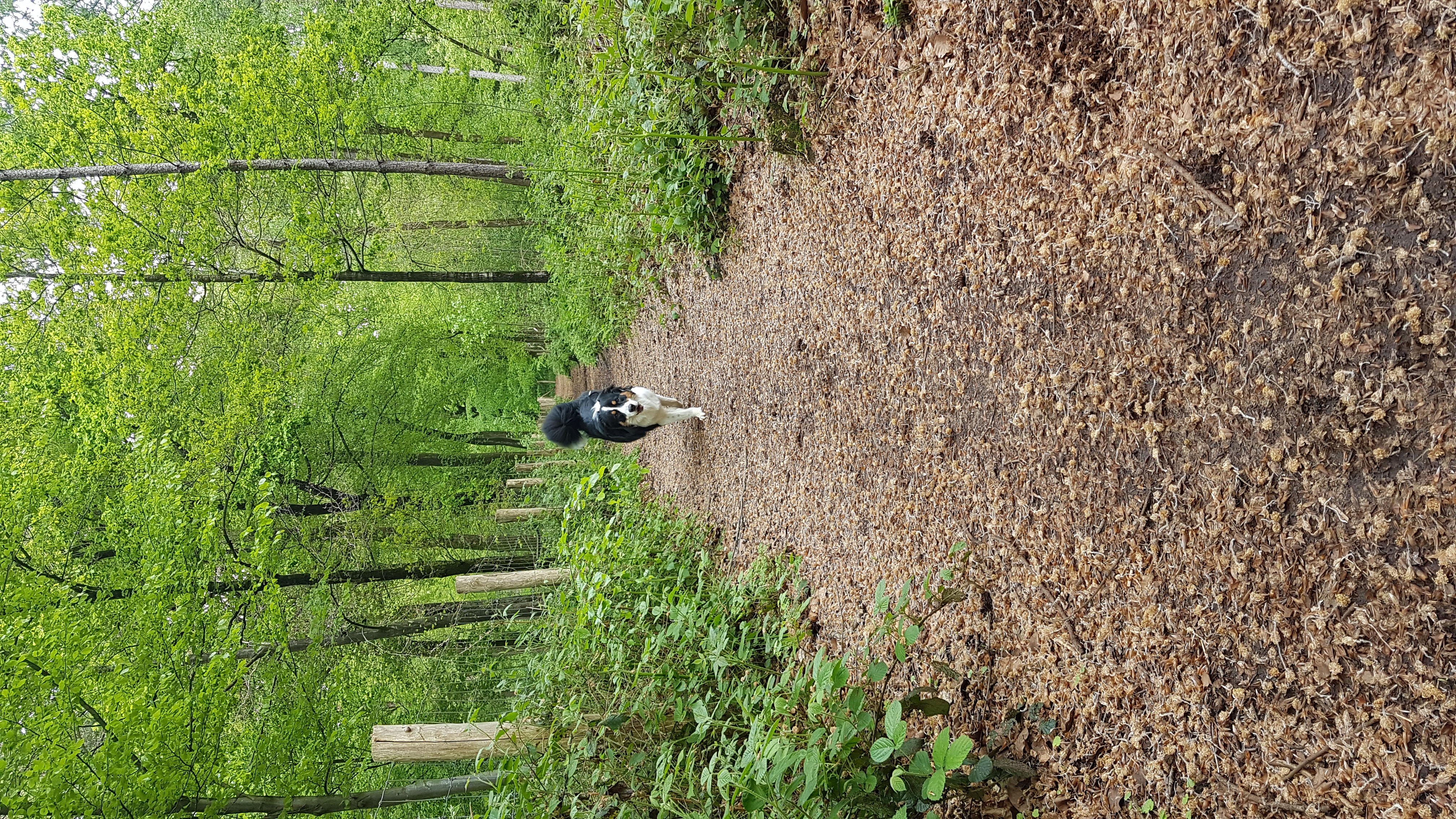 image-3