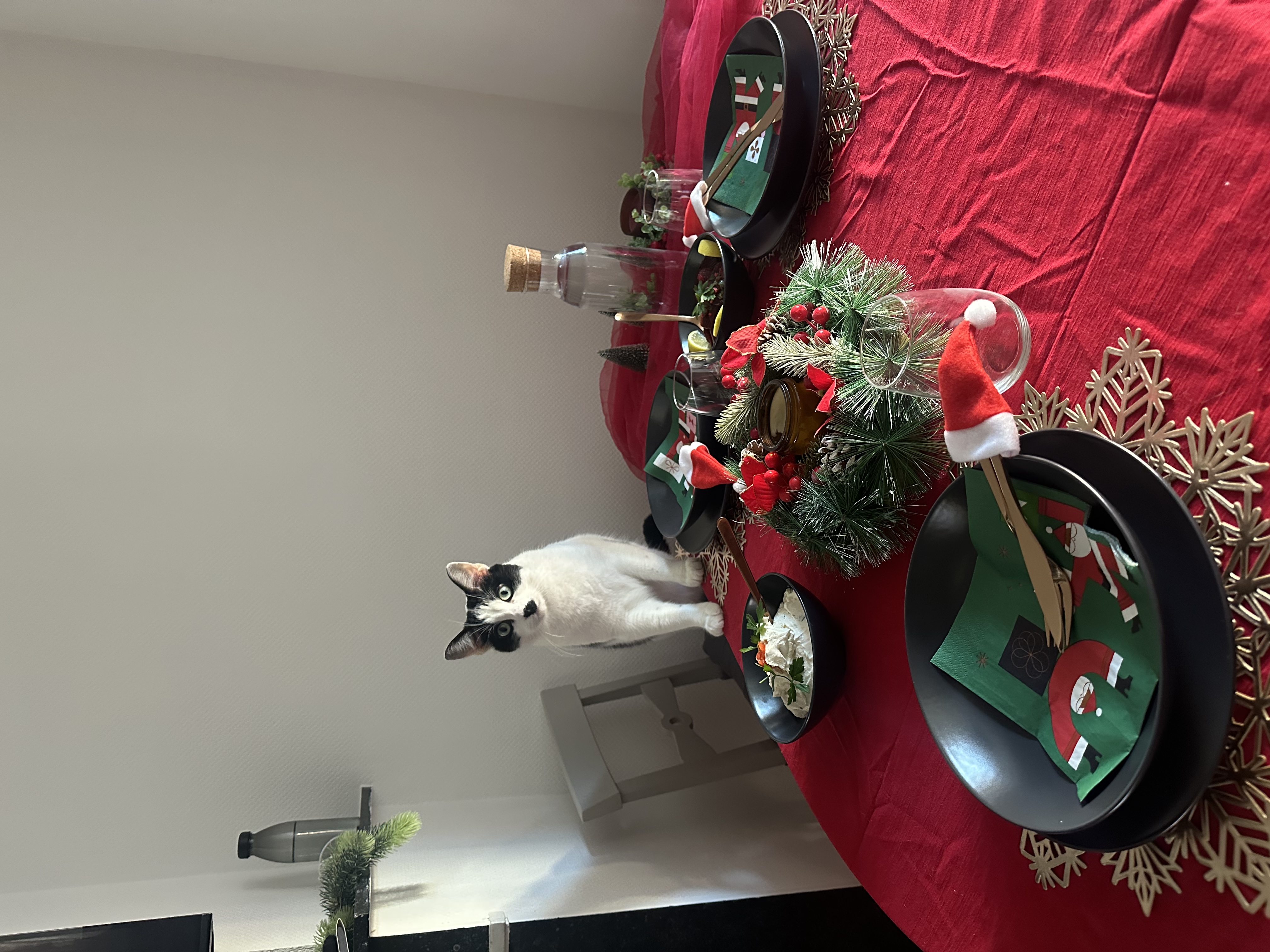 image-8