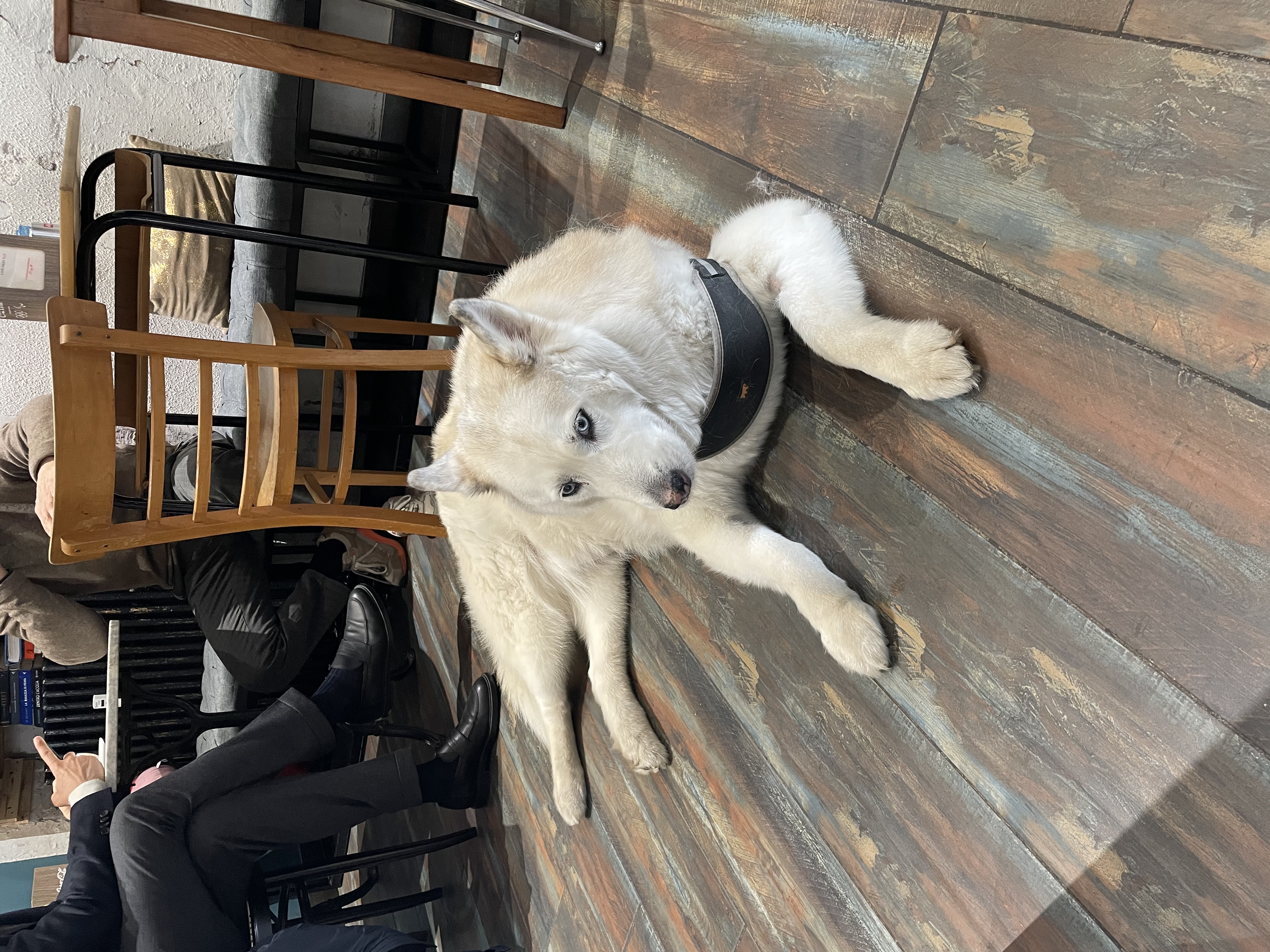 image-7