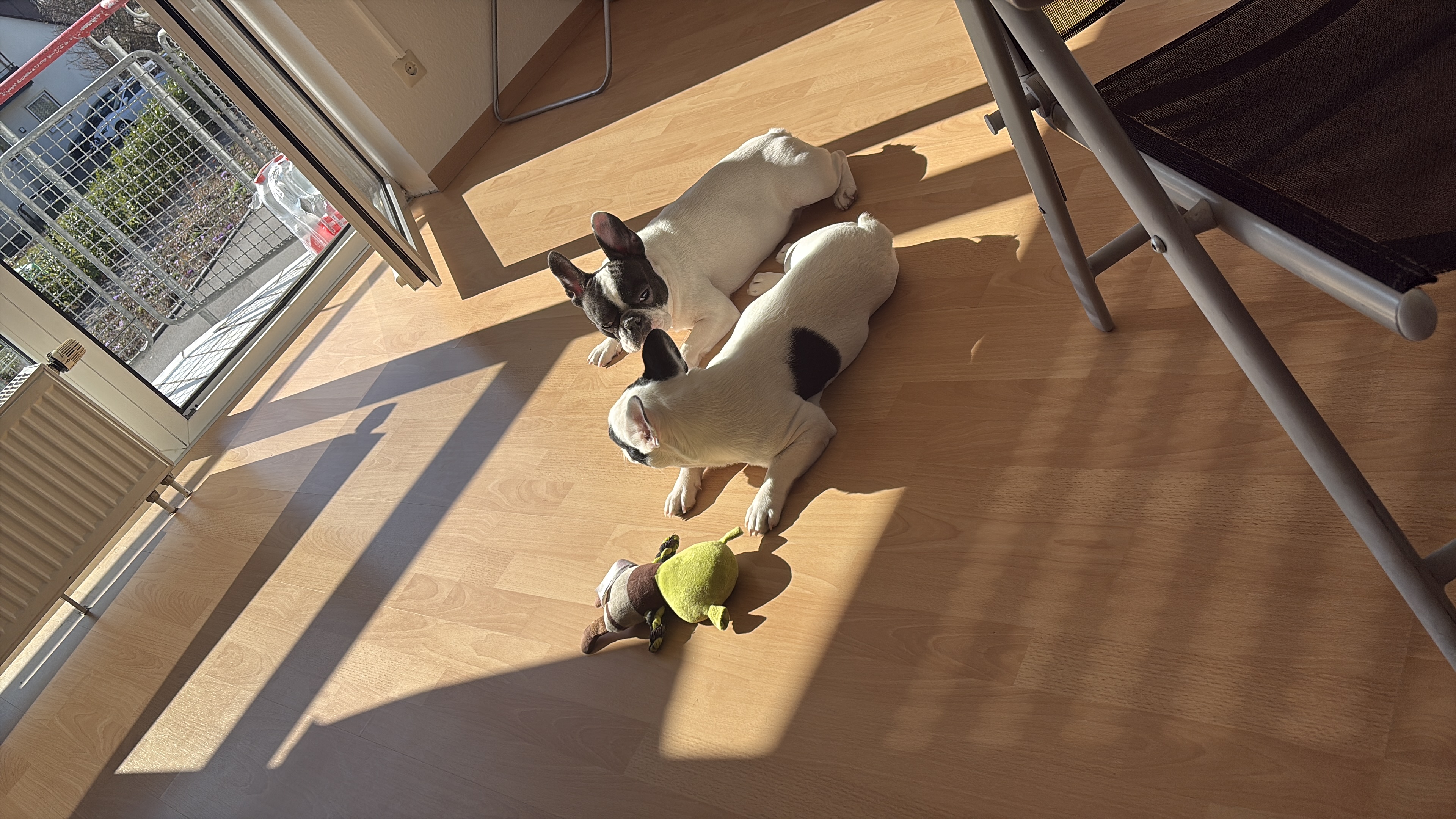 image-18