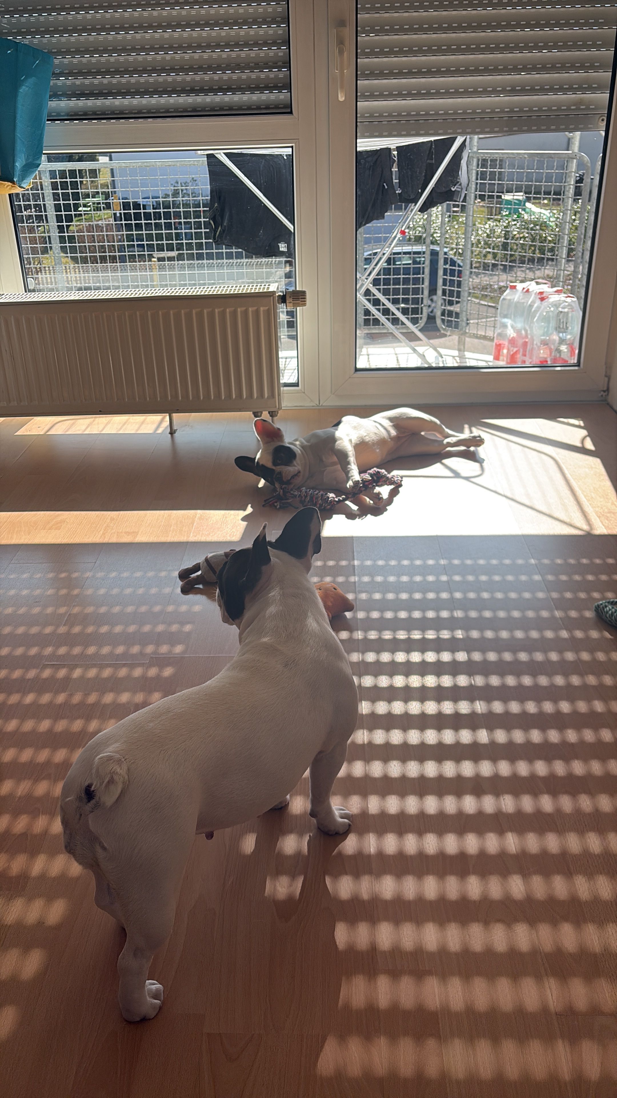 image-17