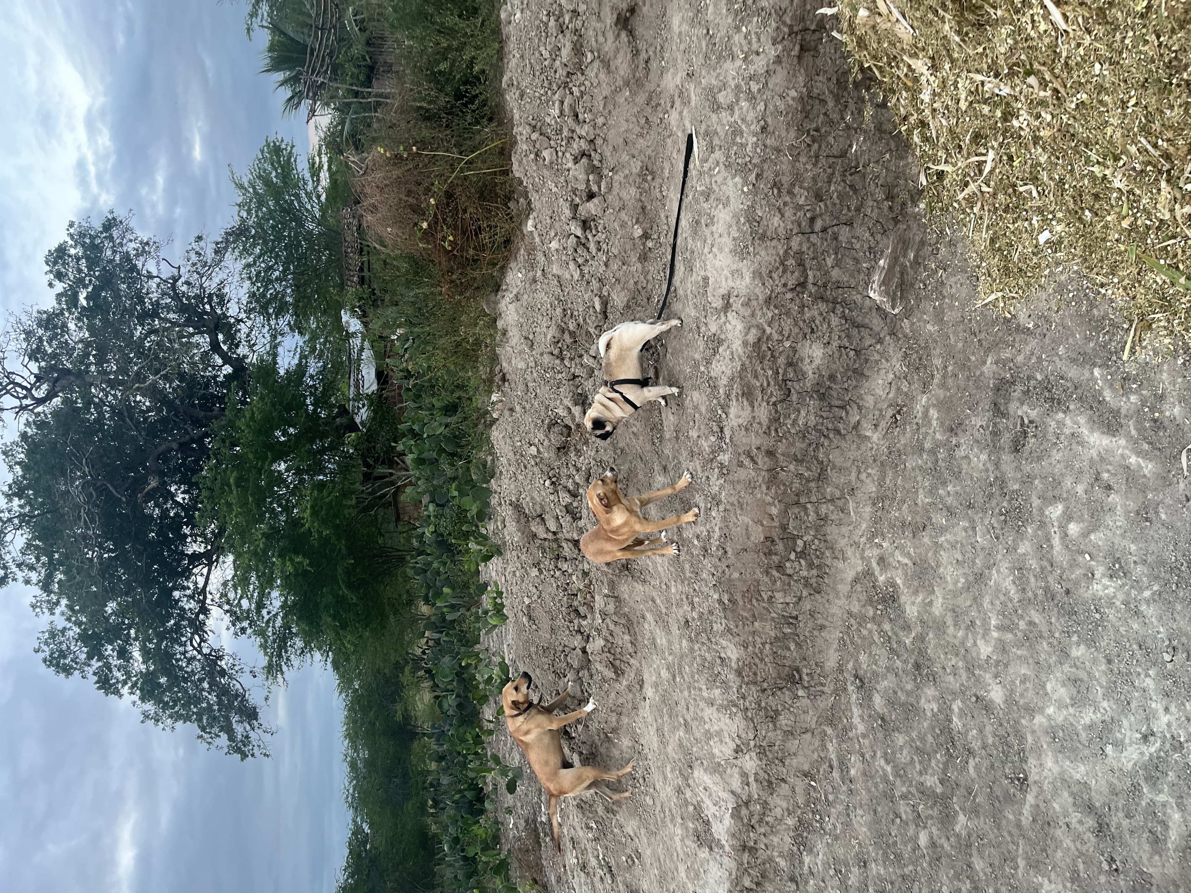 image-5