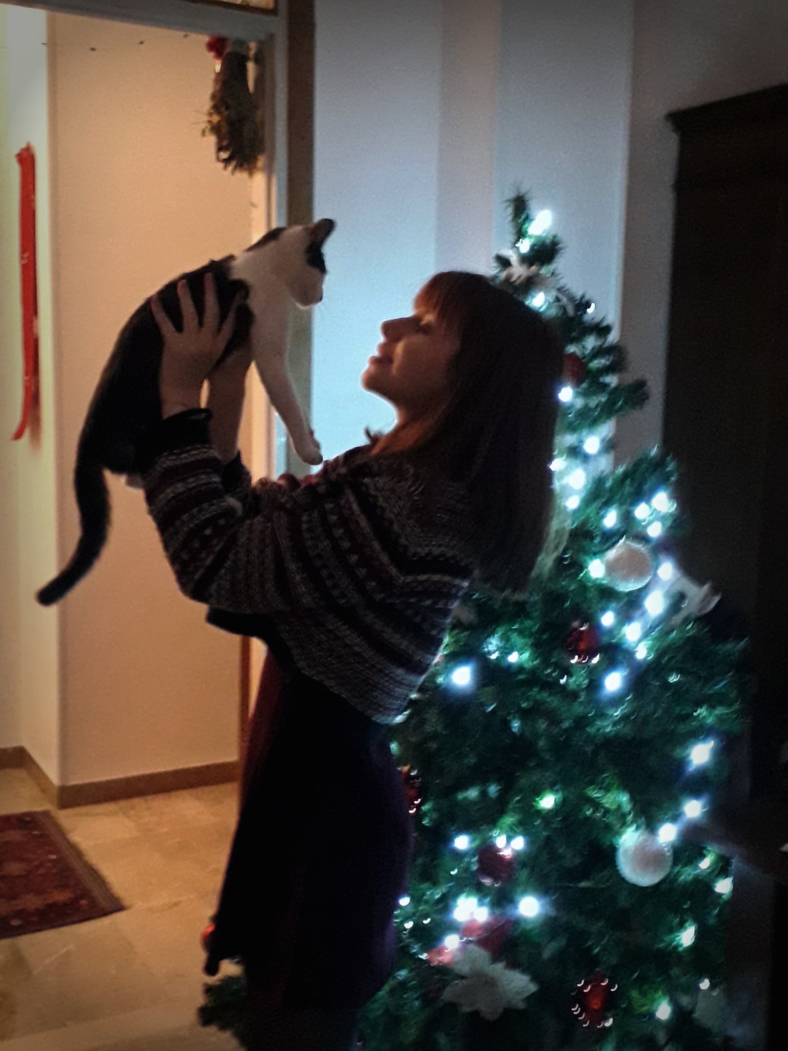 image-5