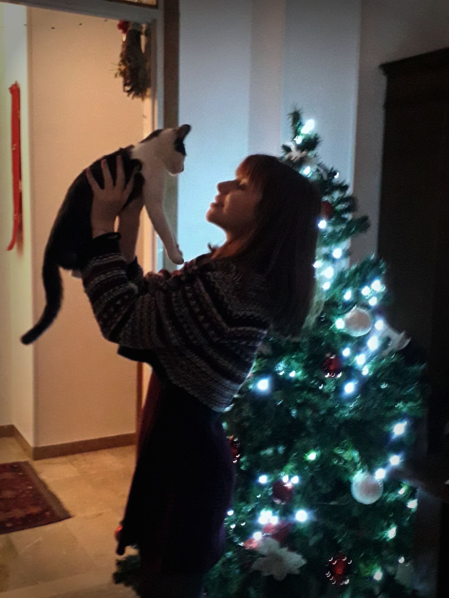 image-5