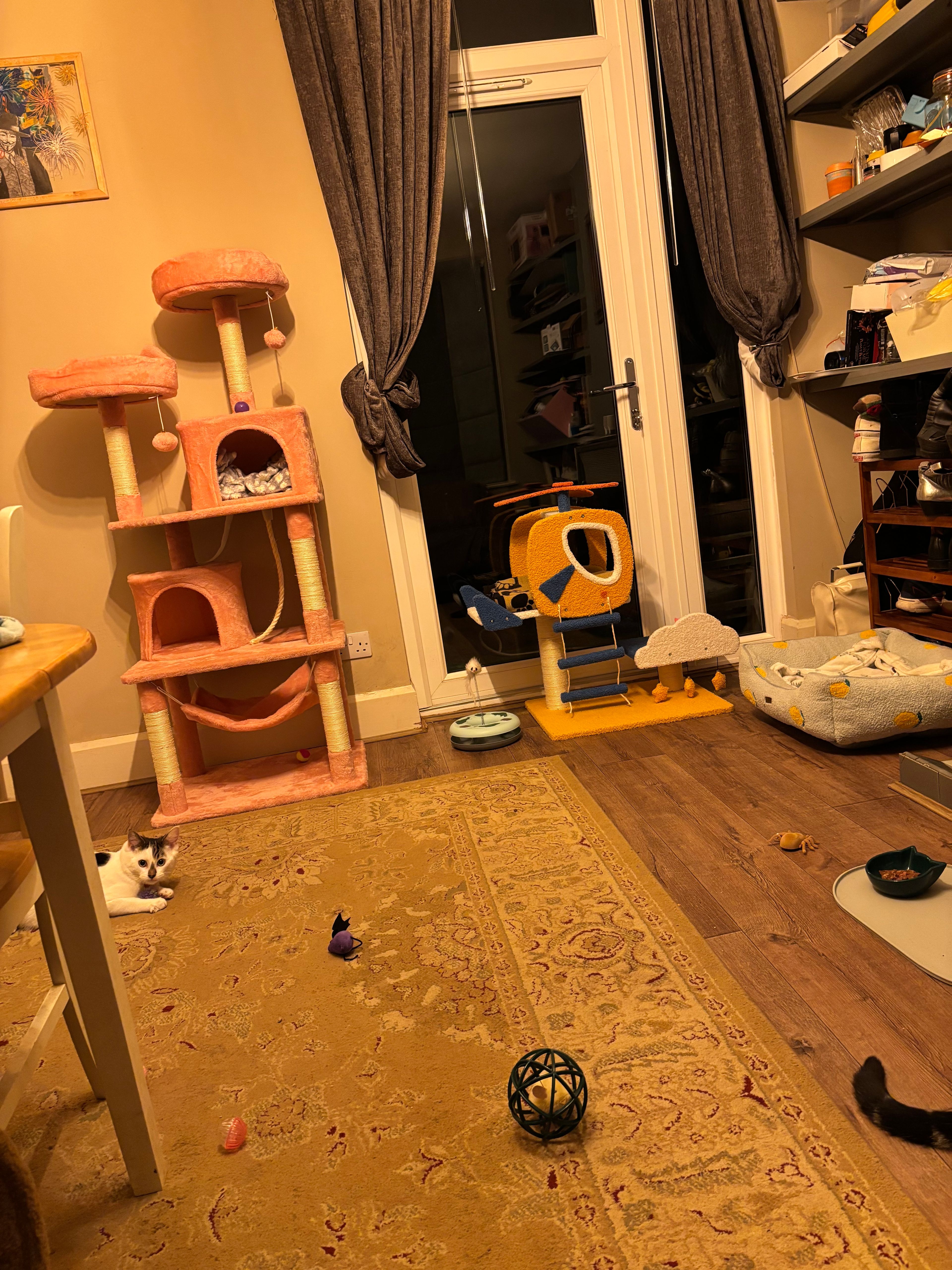 image-16