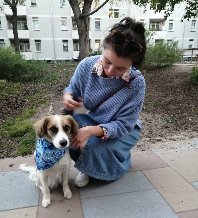 image-11