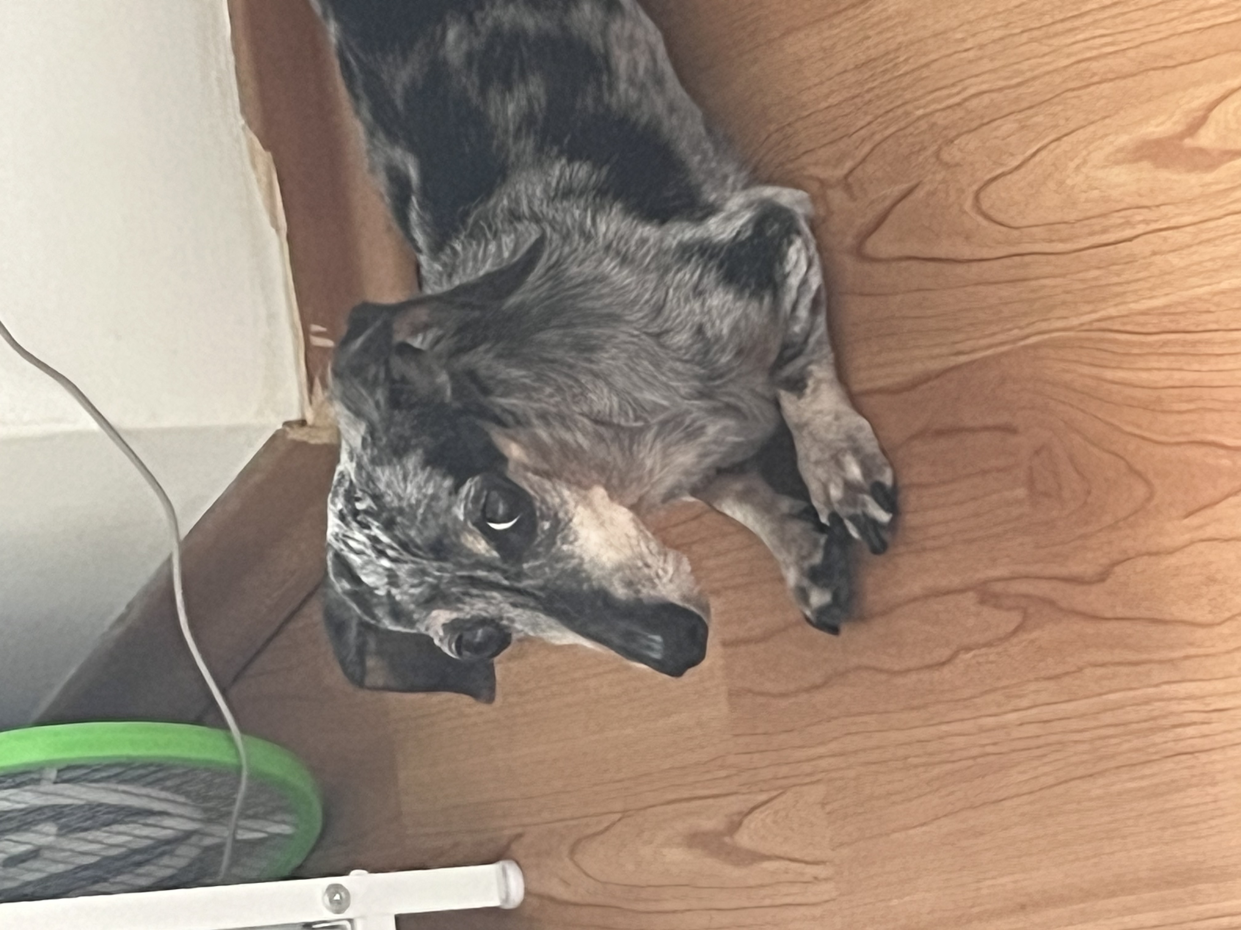image-15