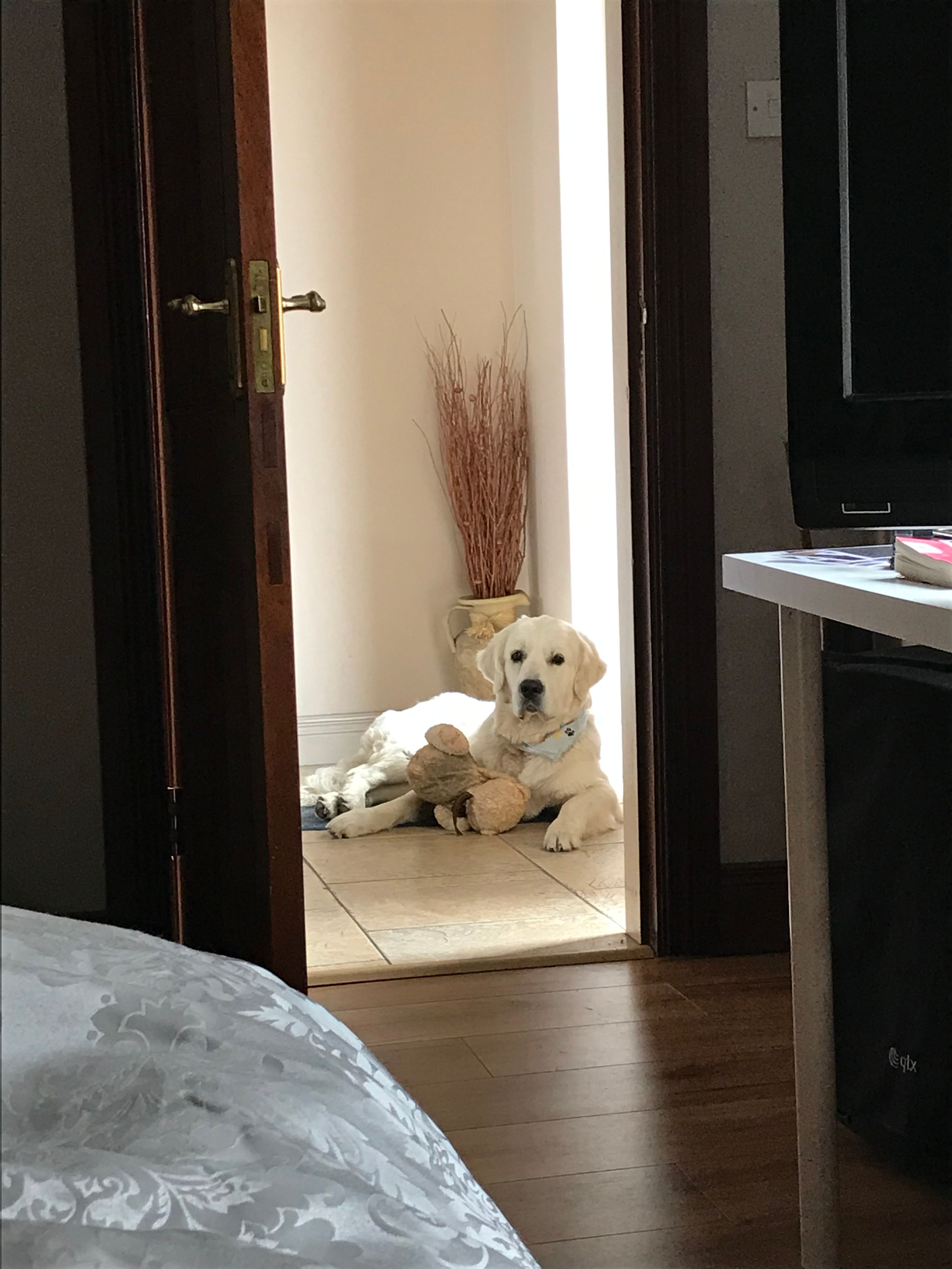 image-13