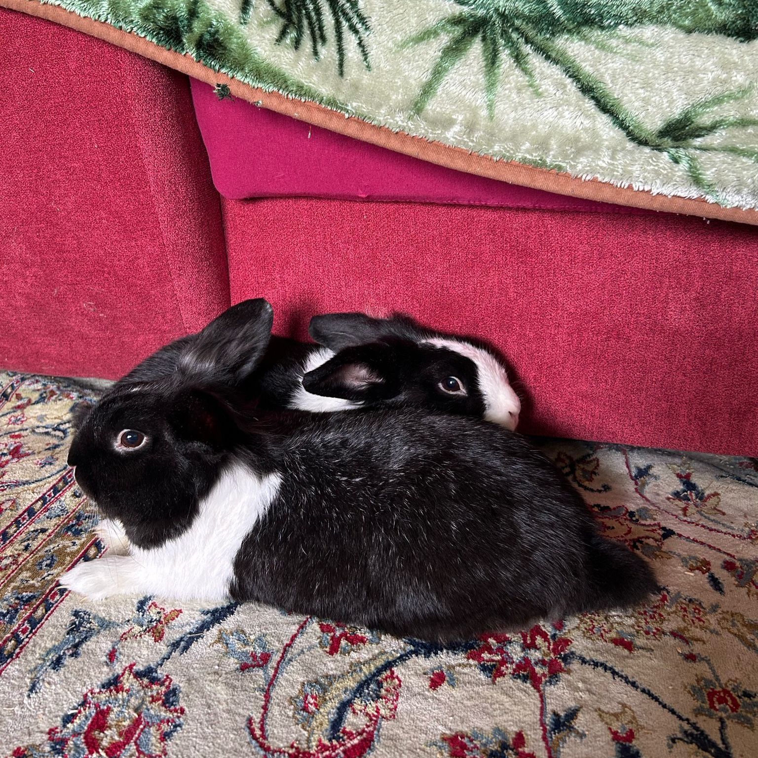 Mika und kaja