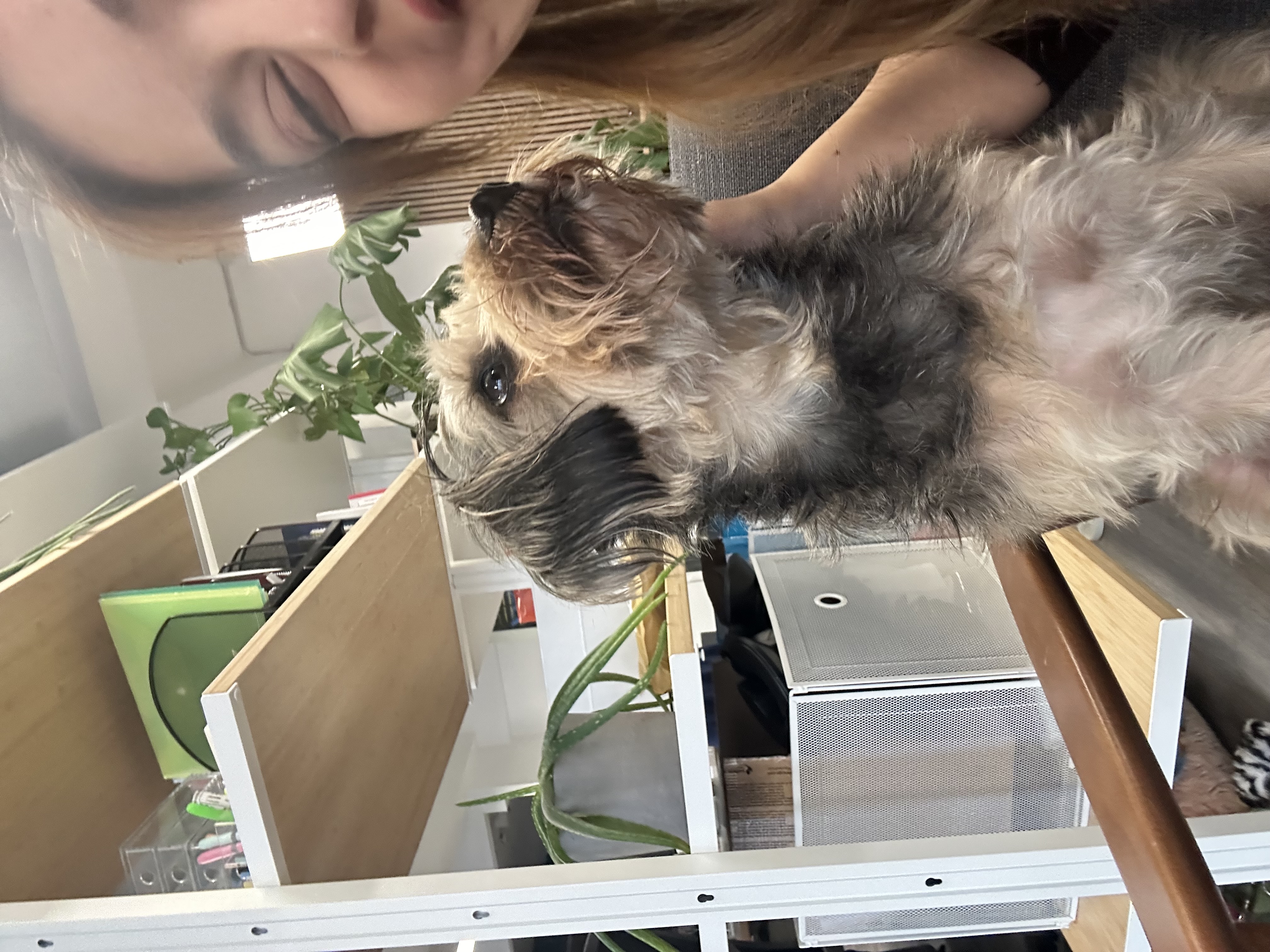 image-8