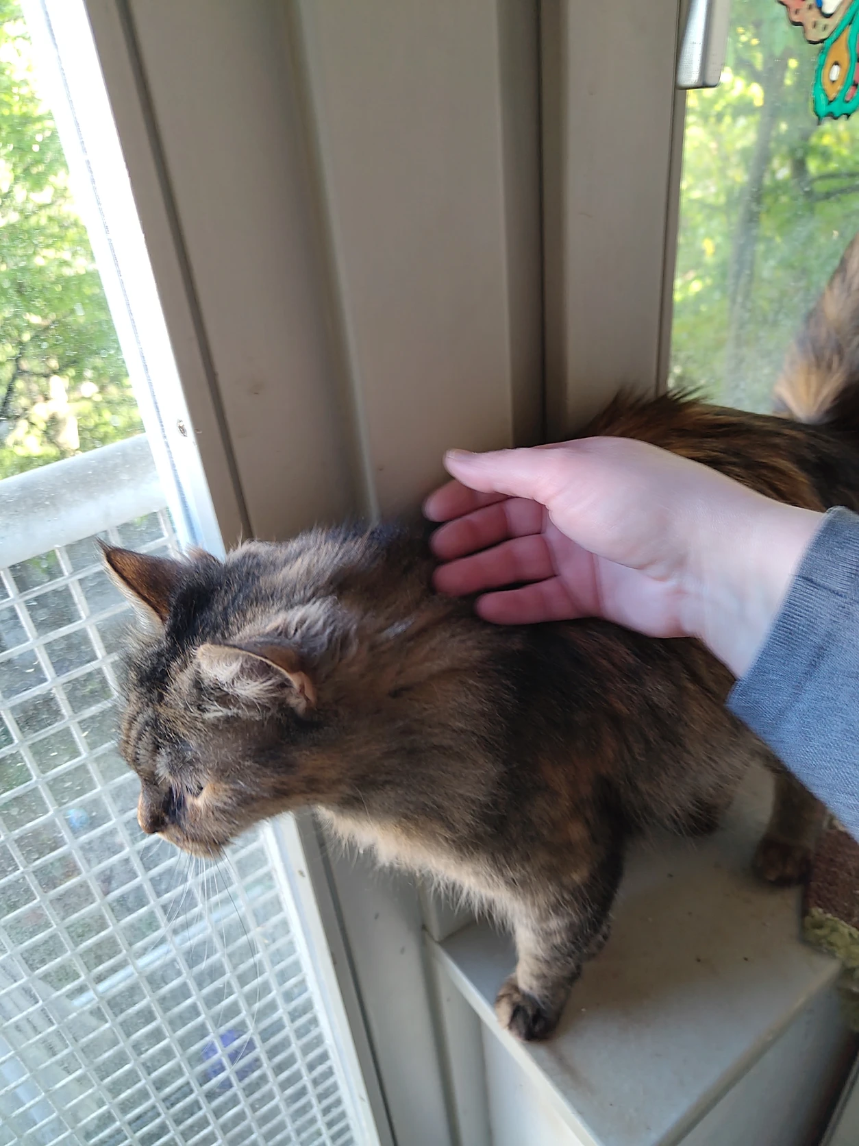 image-11