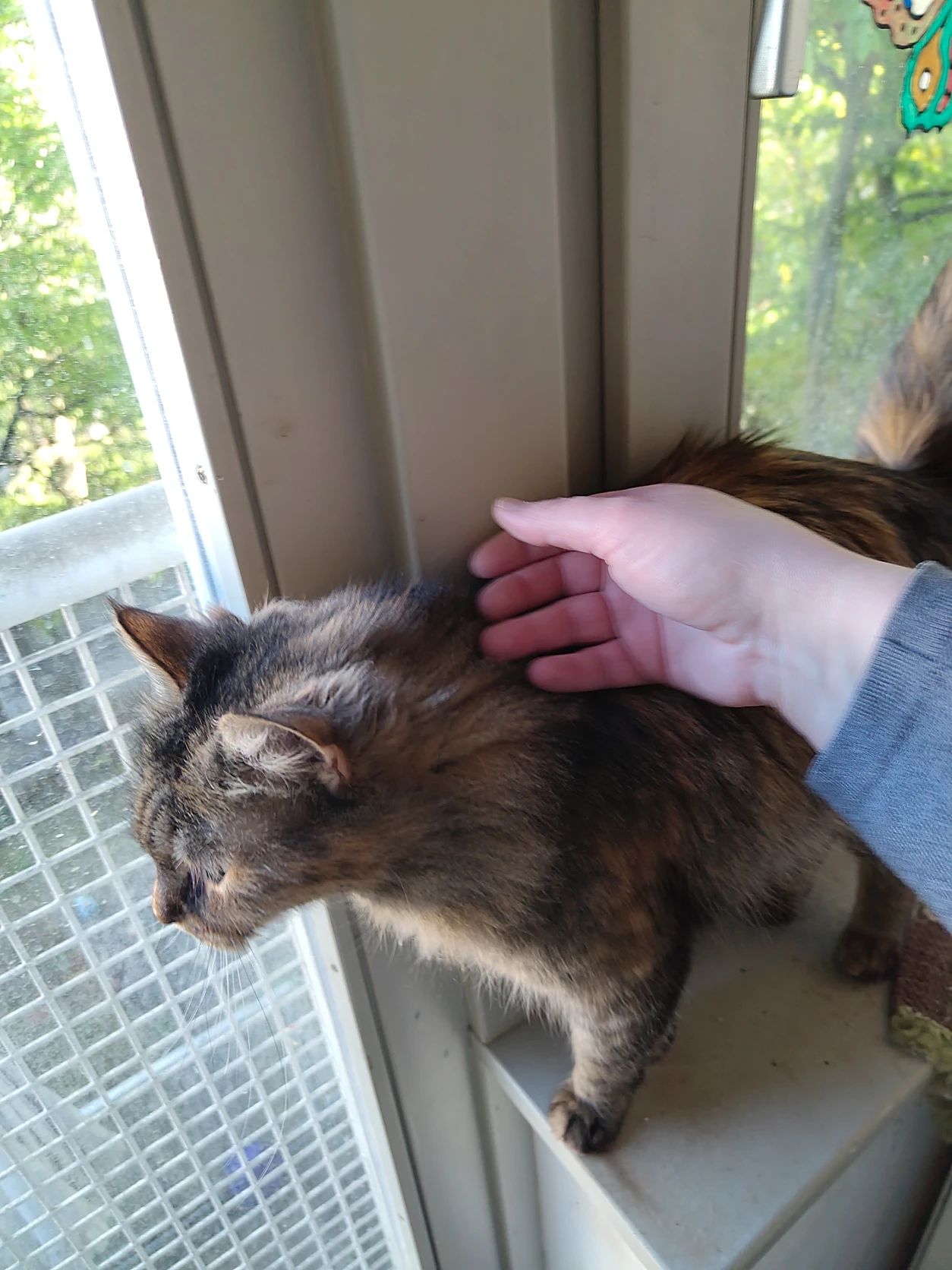 image-11