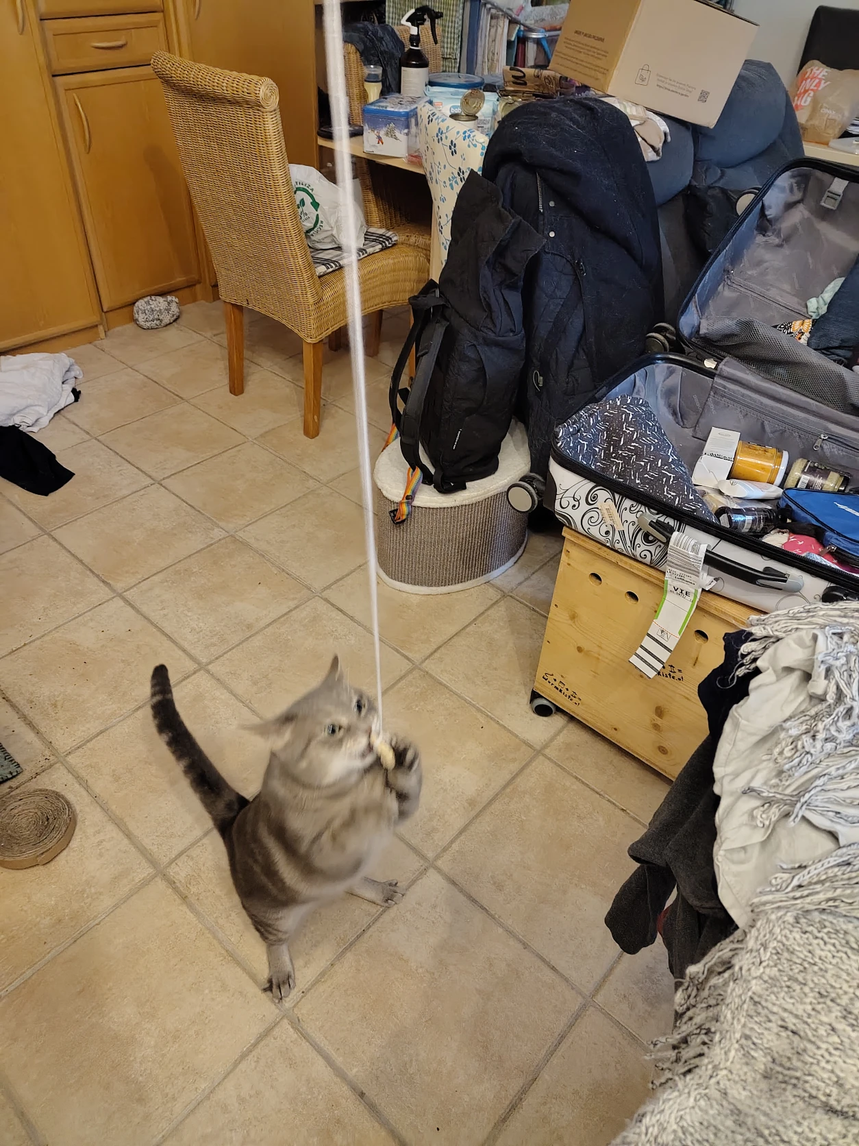 image-14