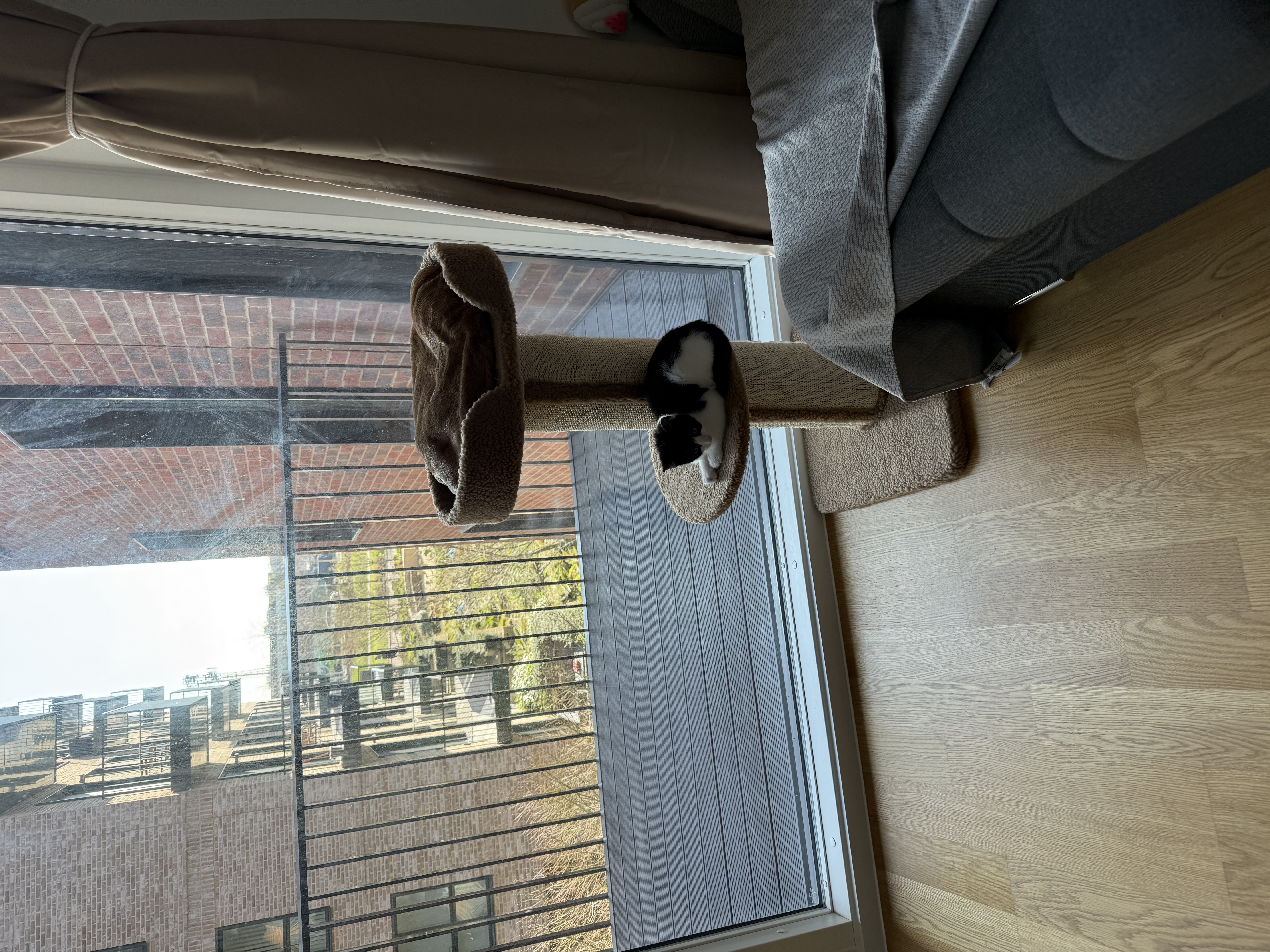 image-15
