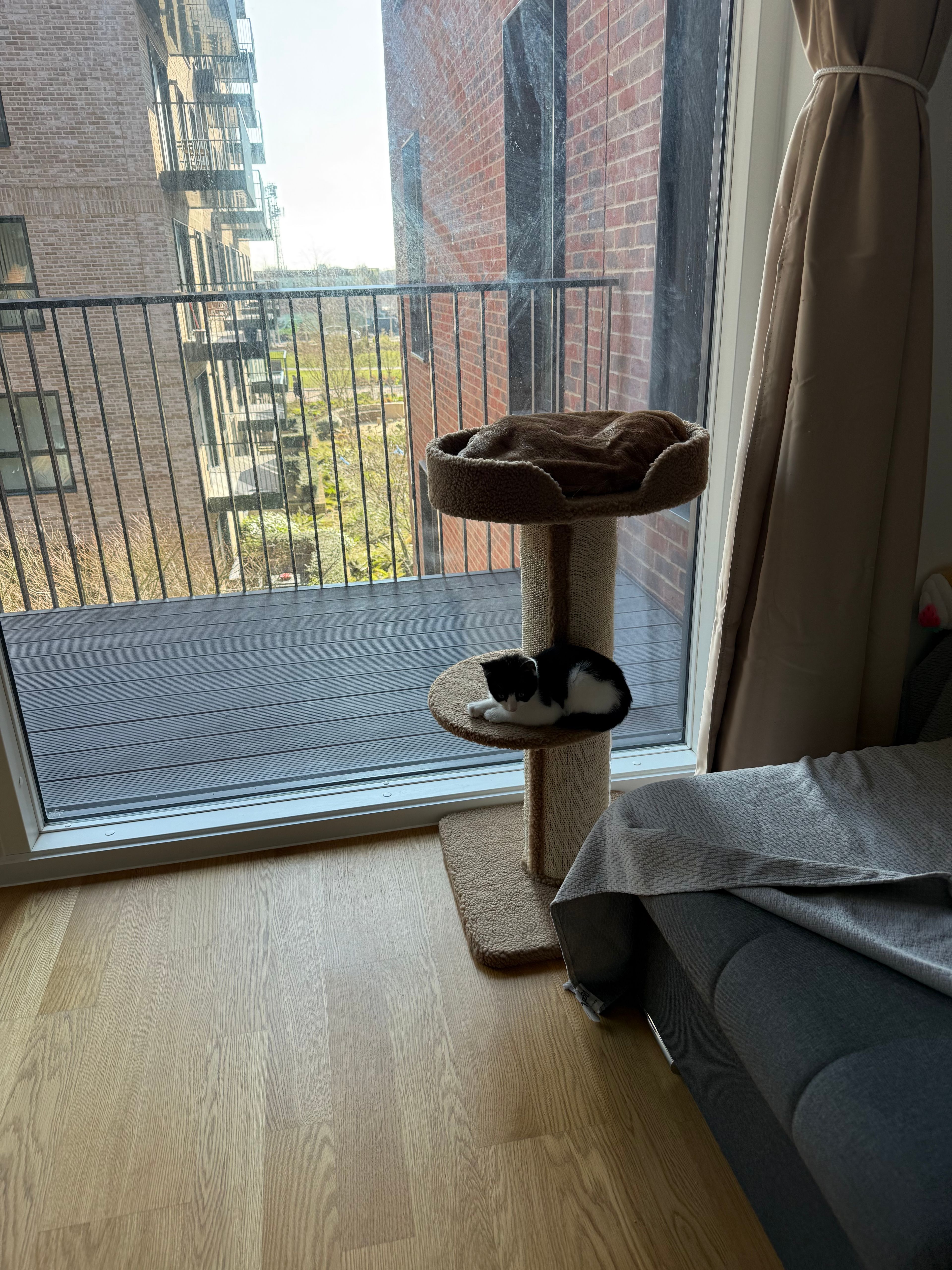 image-15