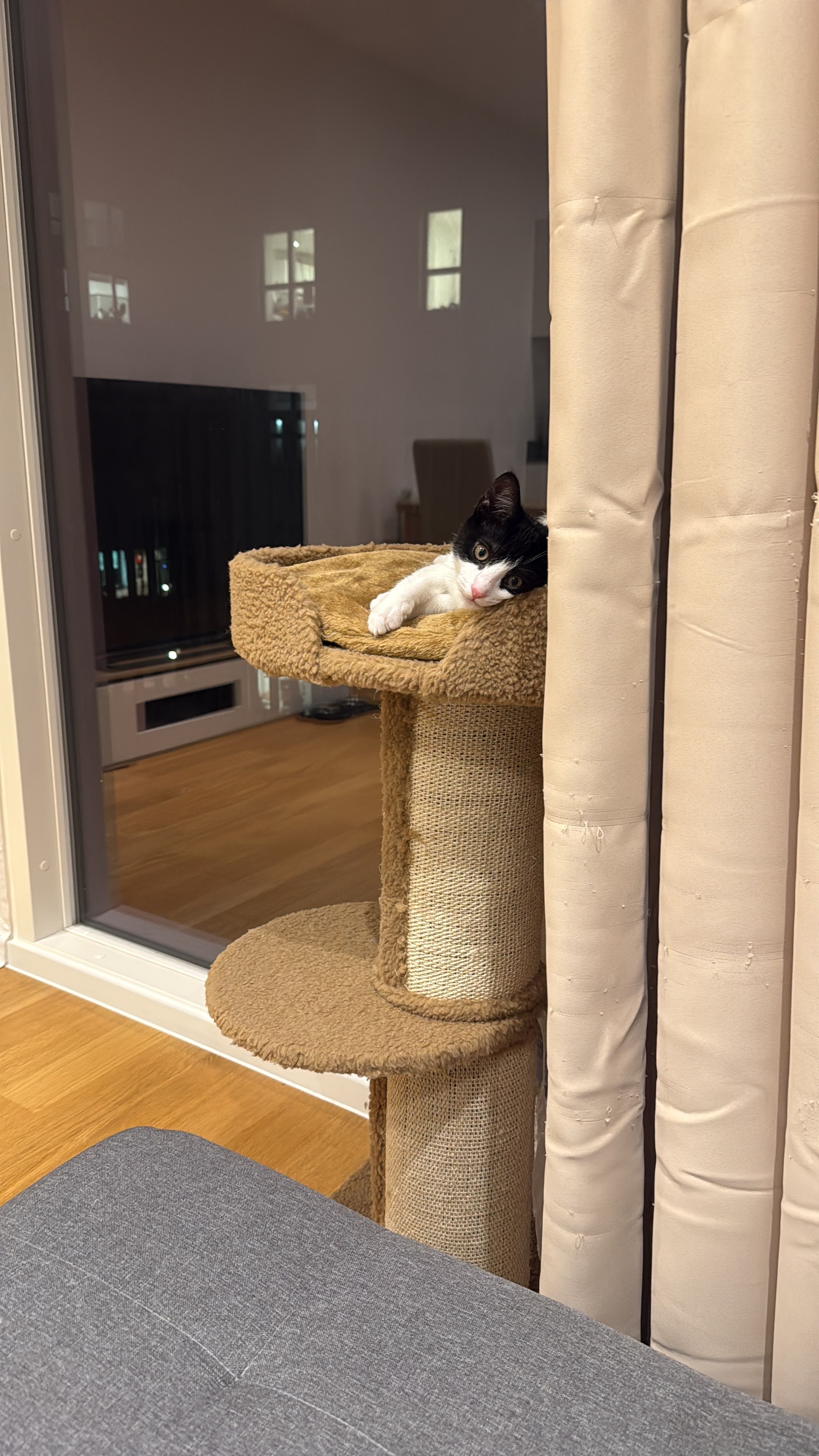 image-16
