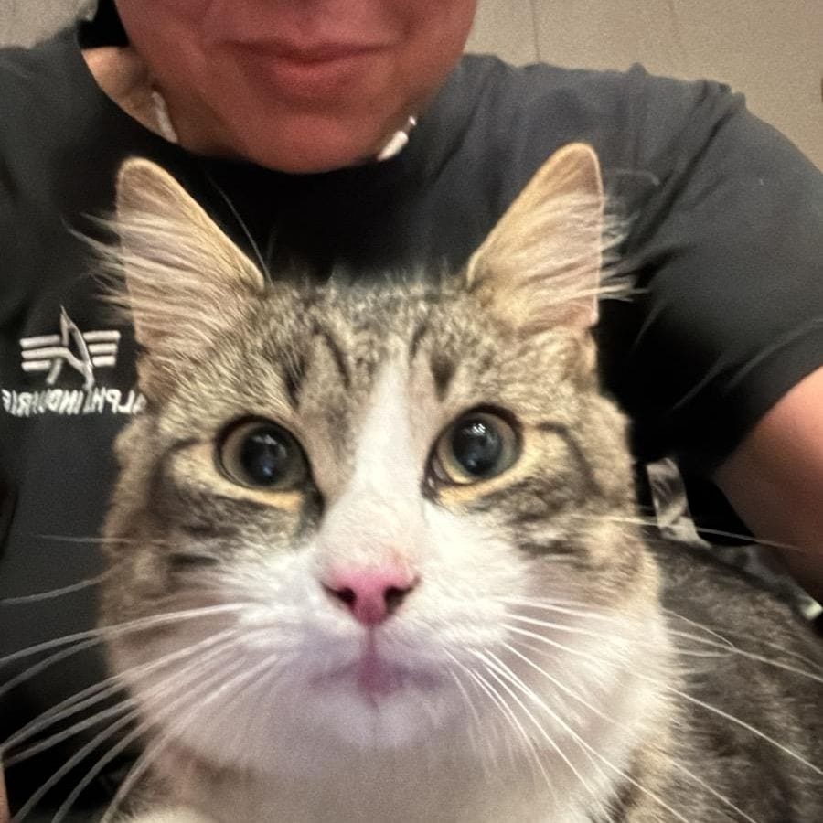 Diego