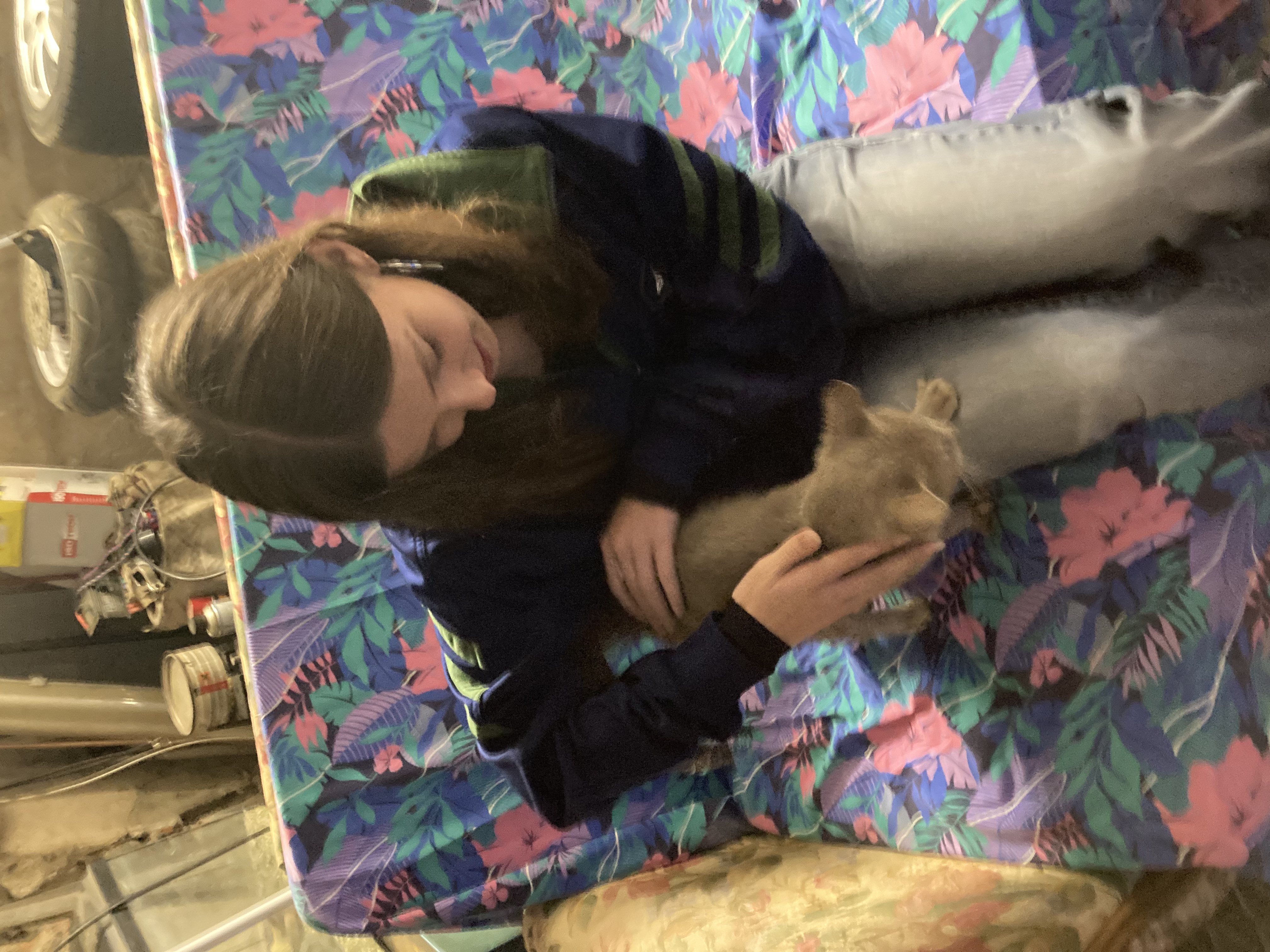 image-6