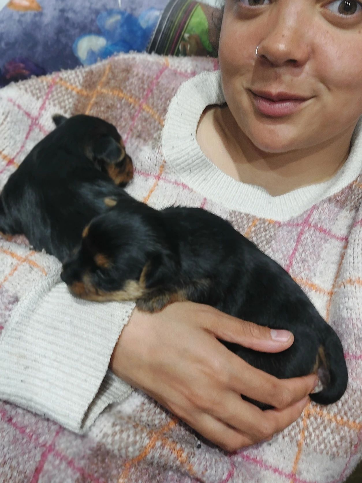 image-8