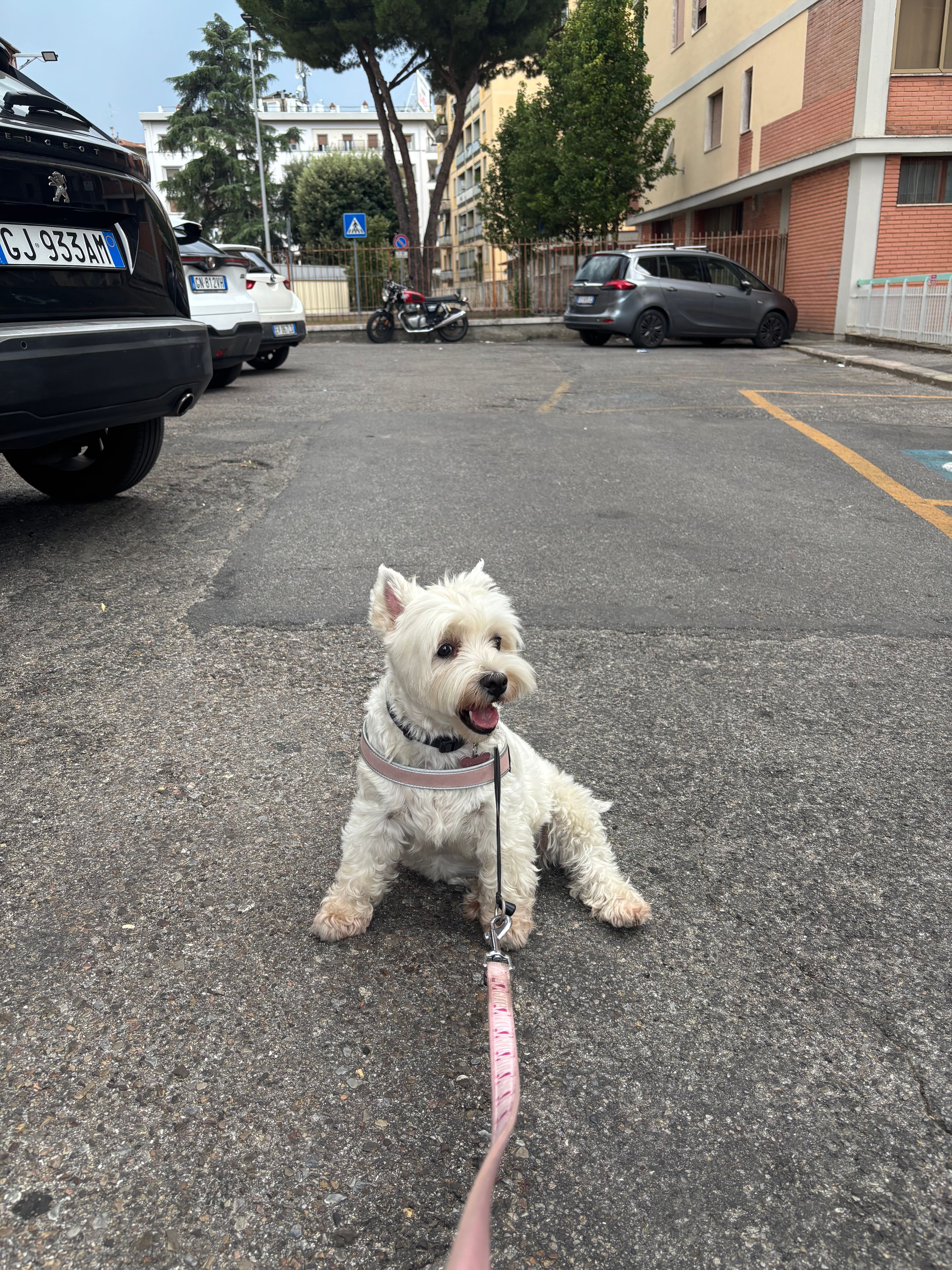 image-8