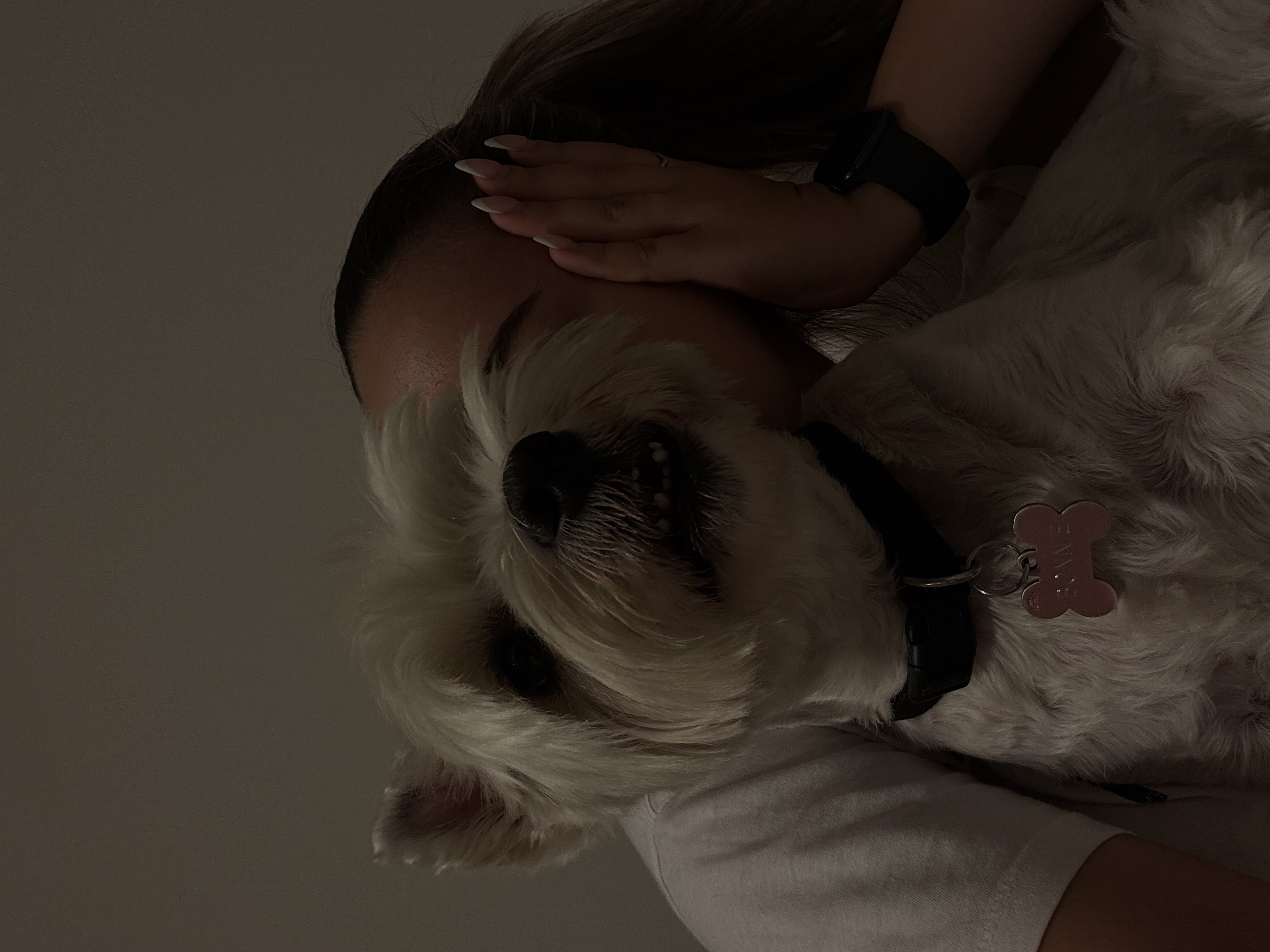 image-5