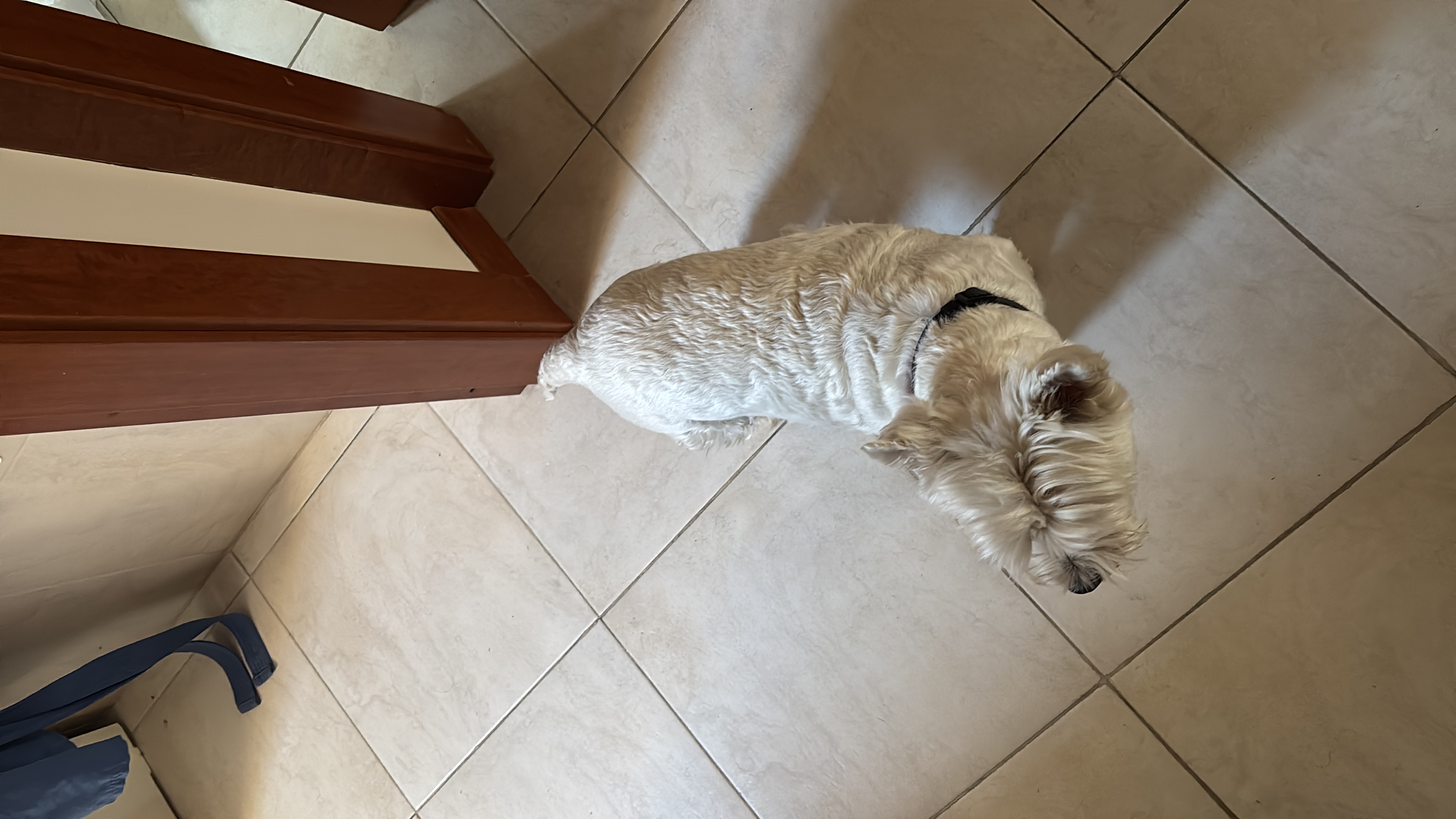 image-29
