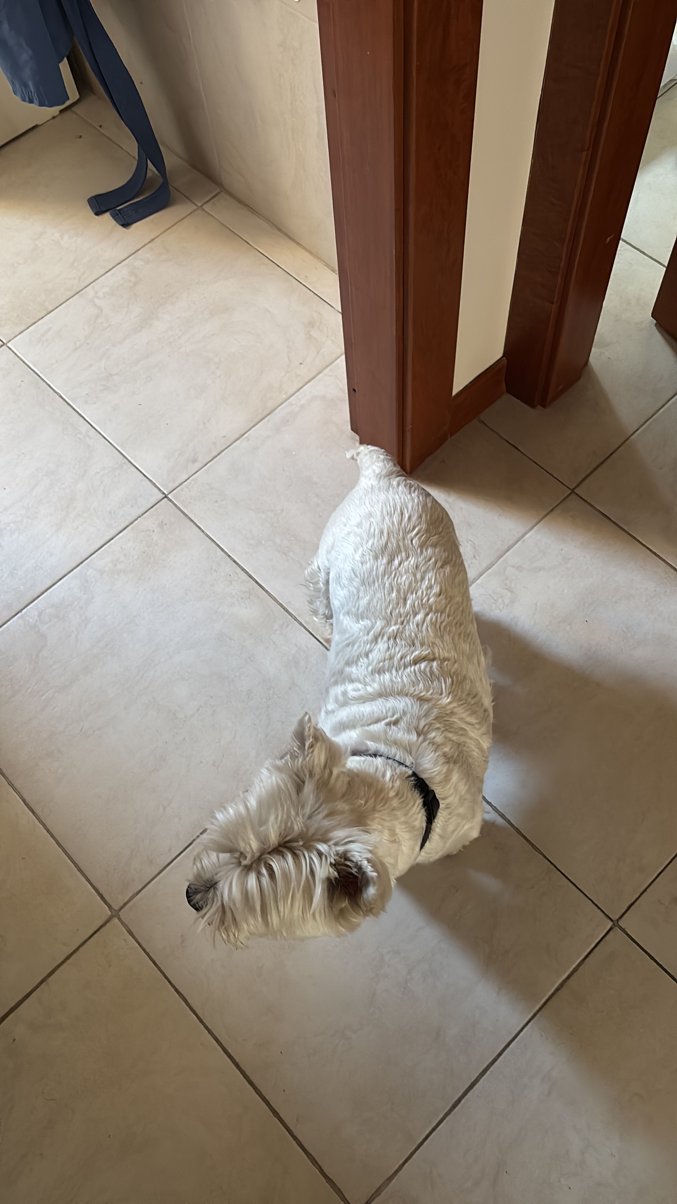 image-29
