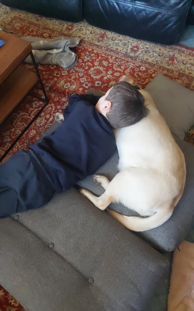 image-11