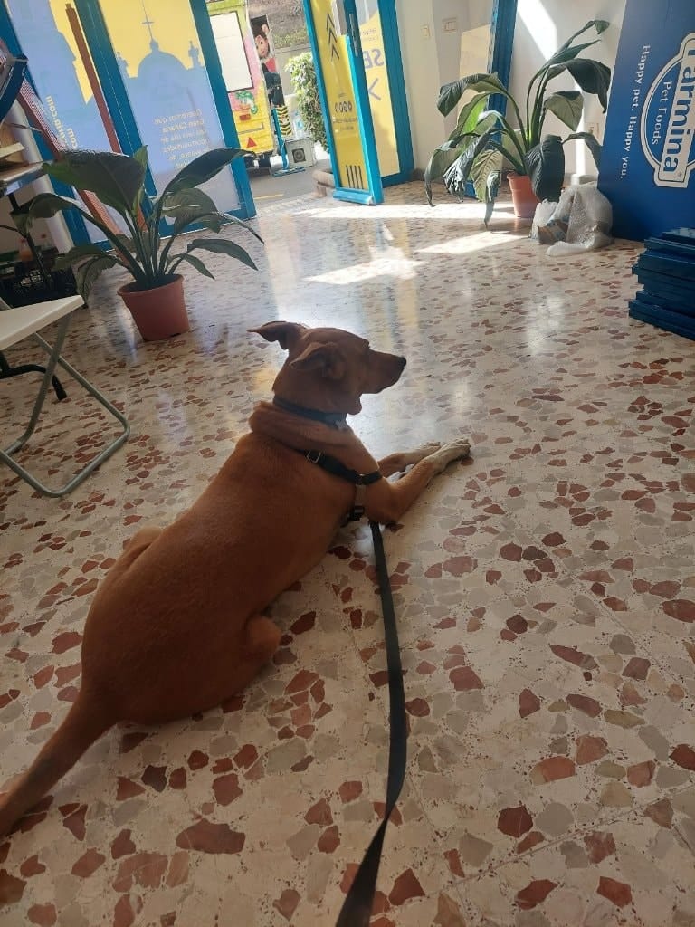 image-14