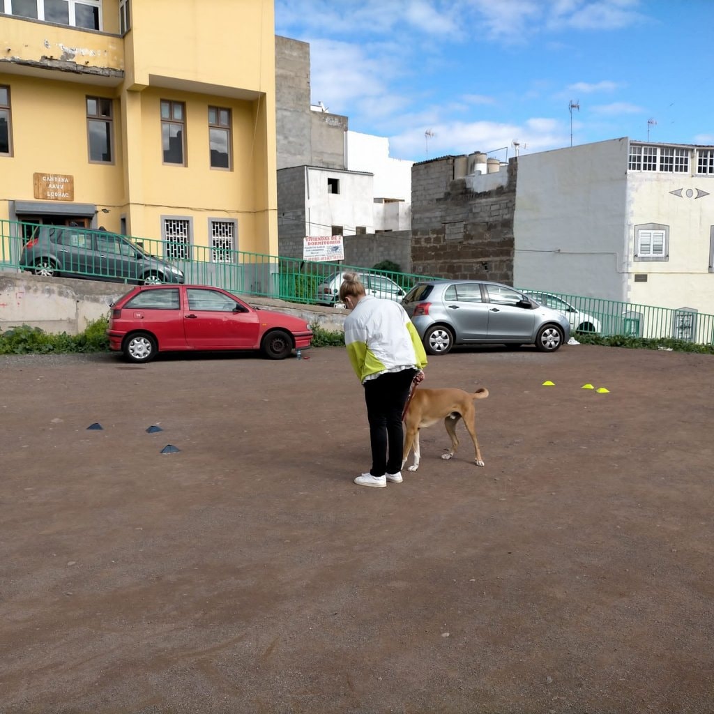 image-39