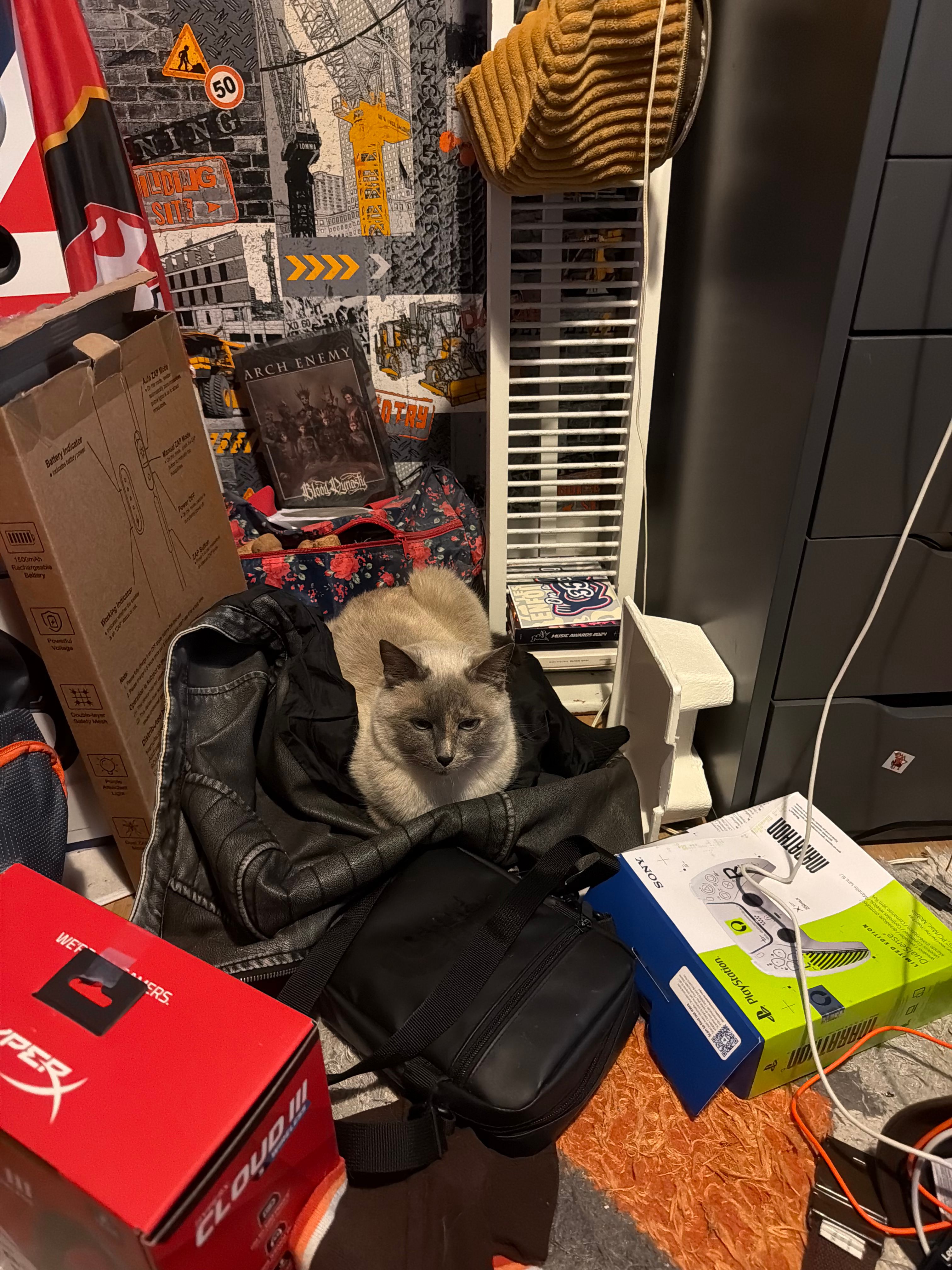 image-2