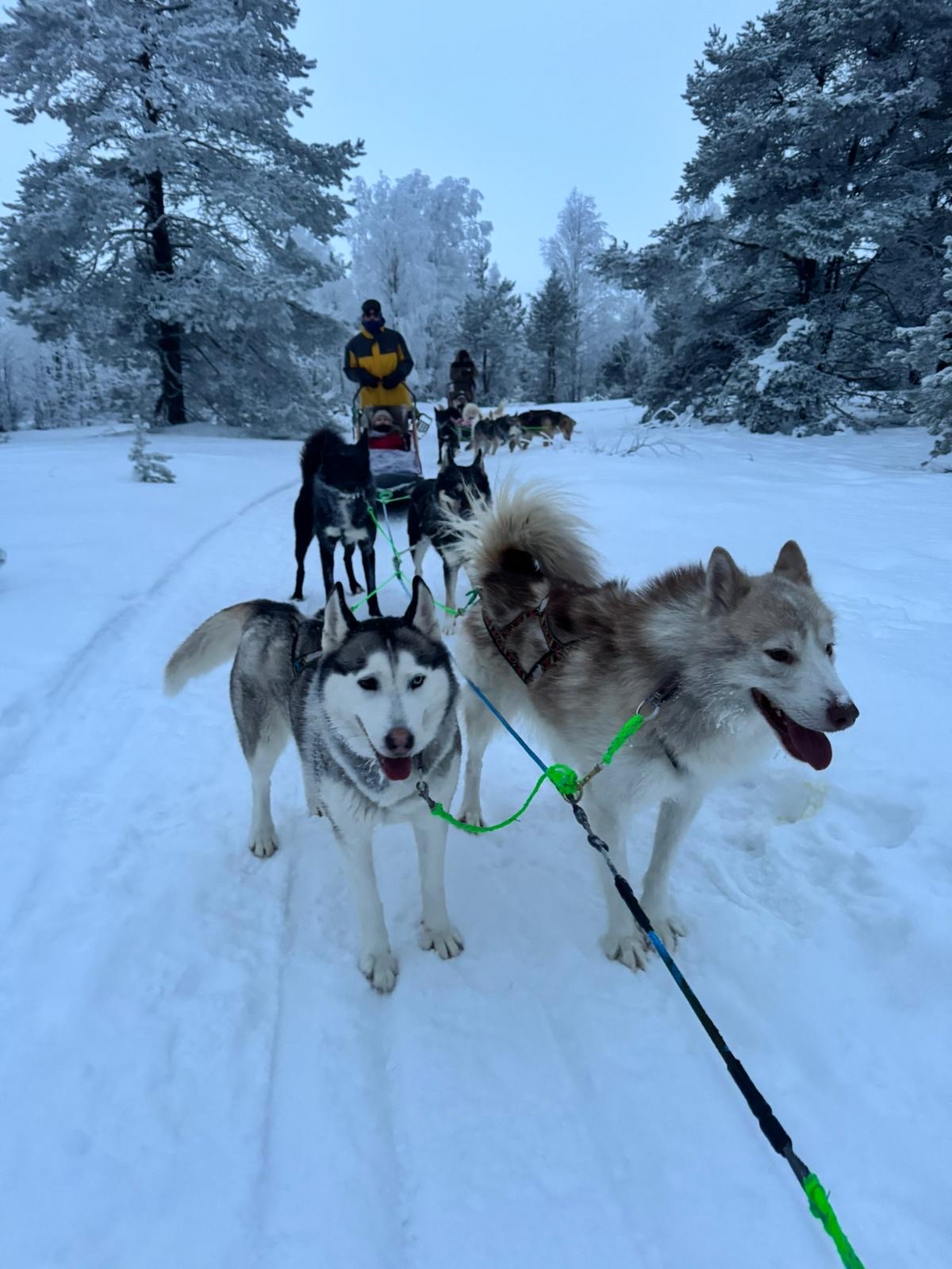 image-8