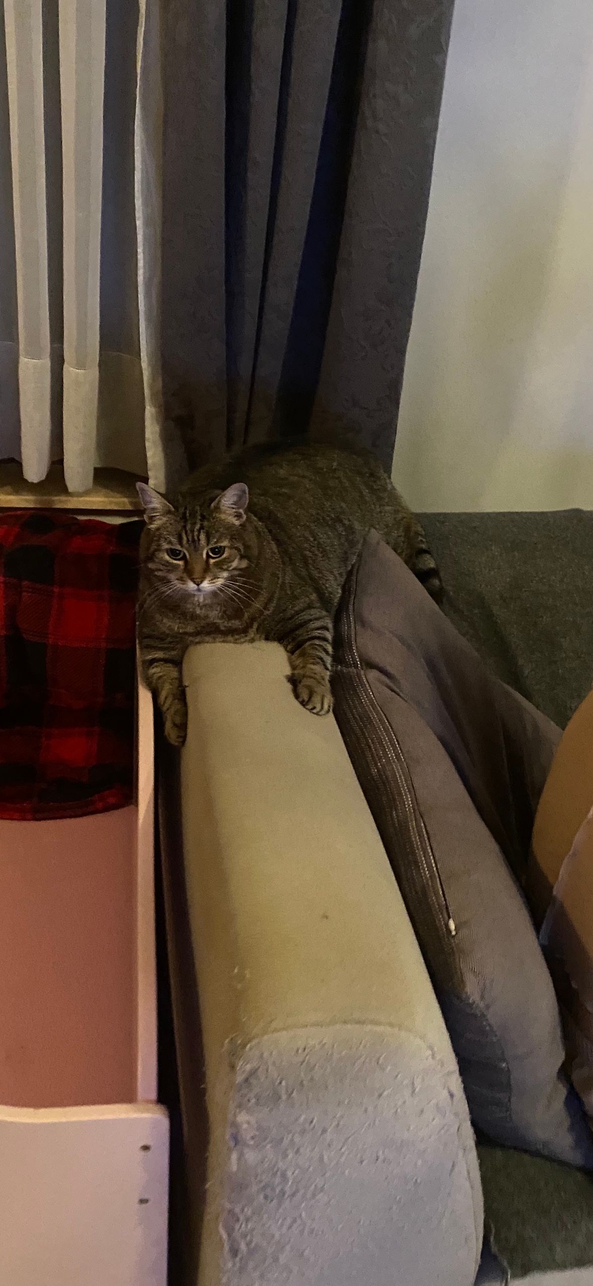 image-6