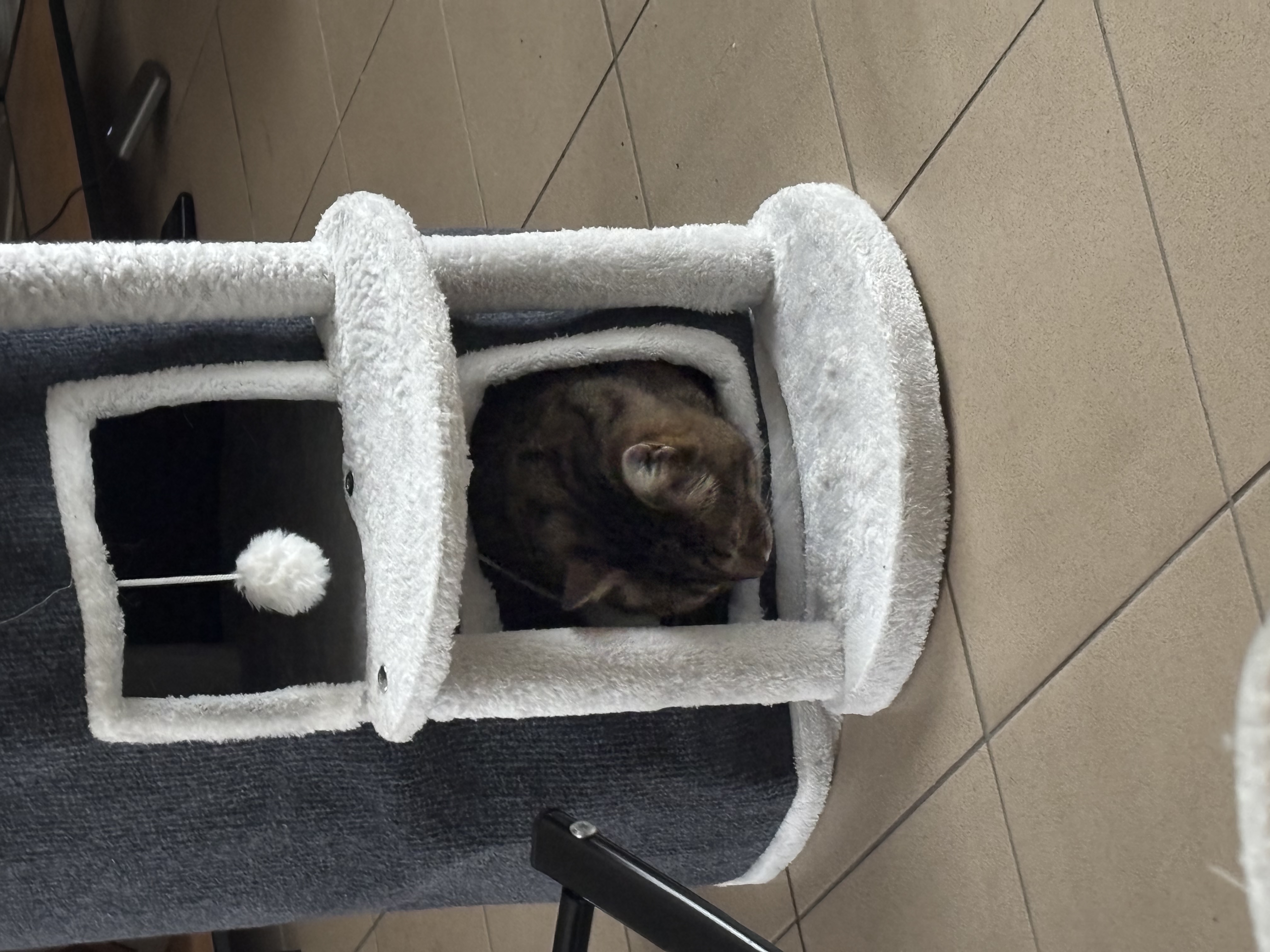 image-5