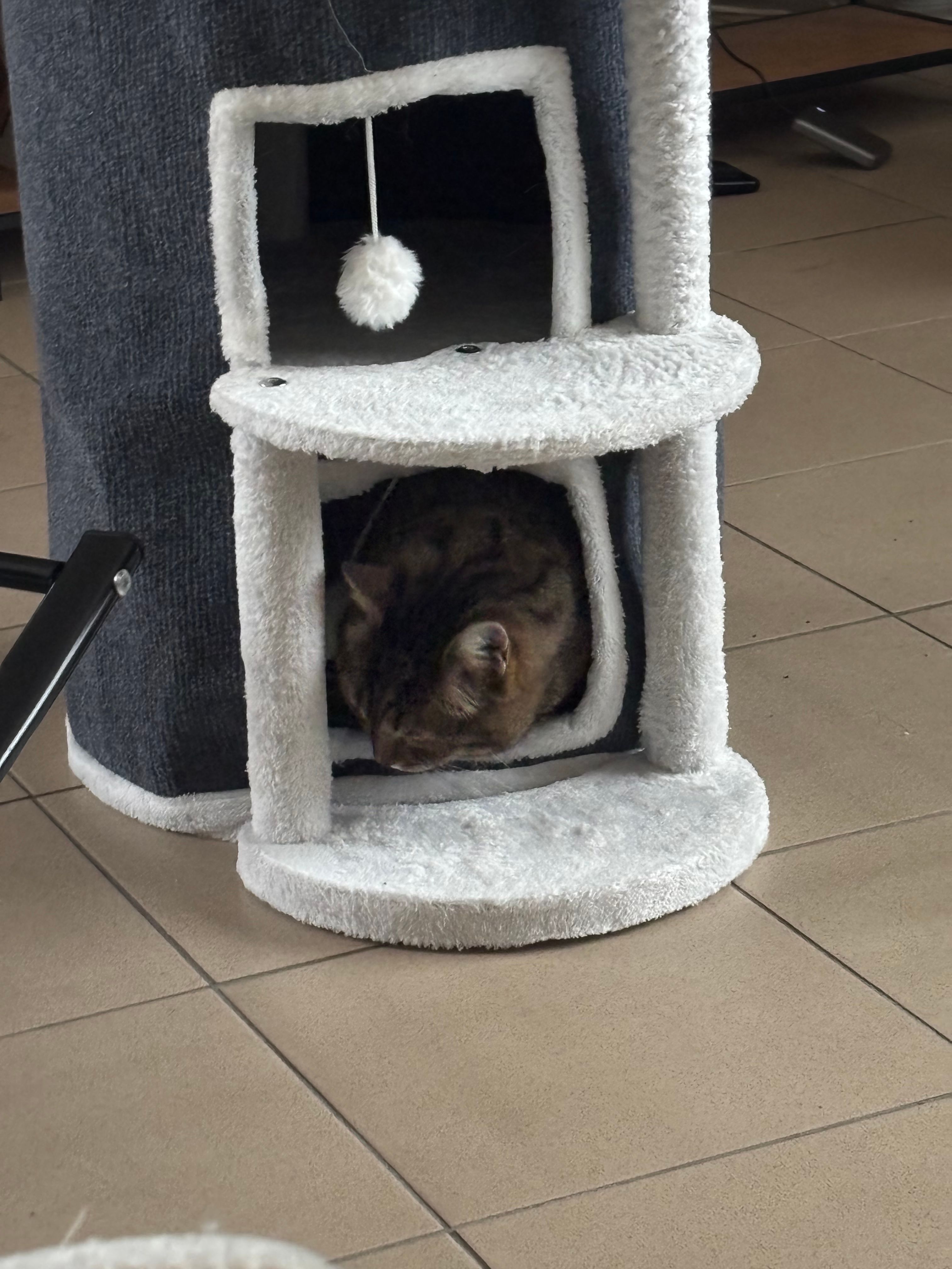 image-5