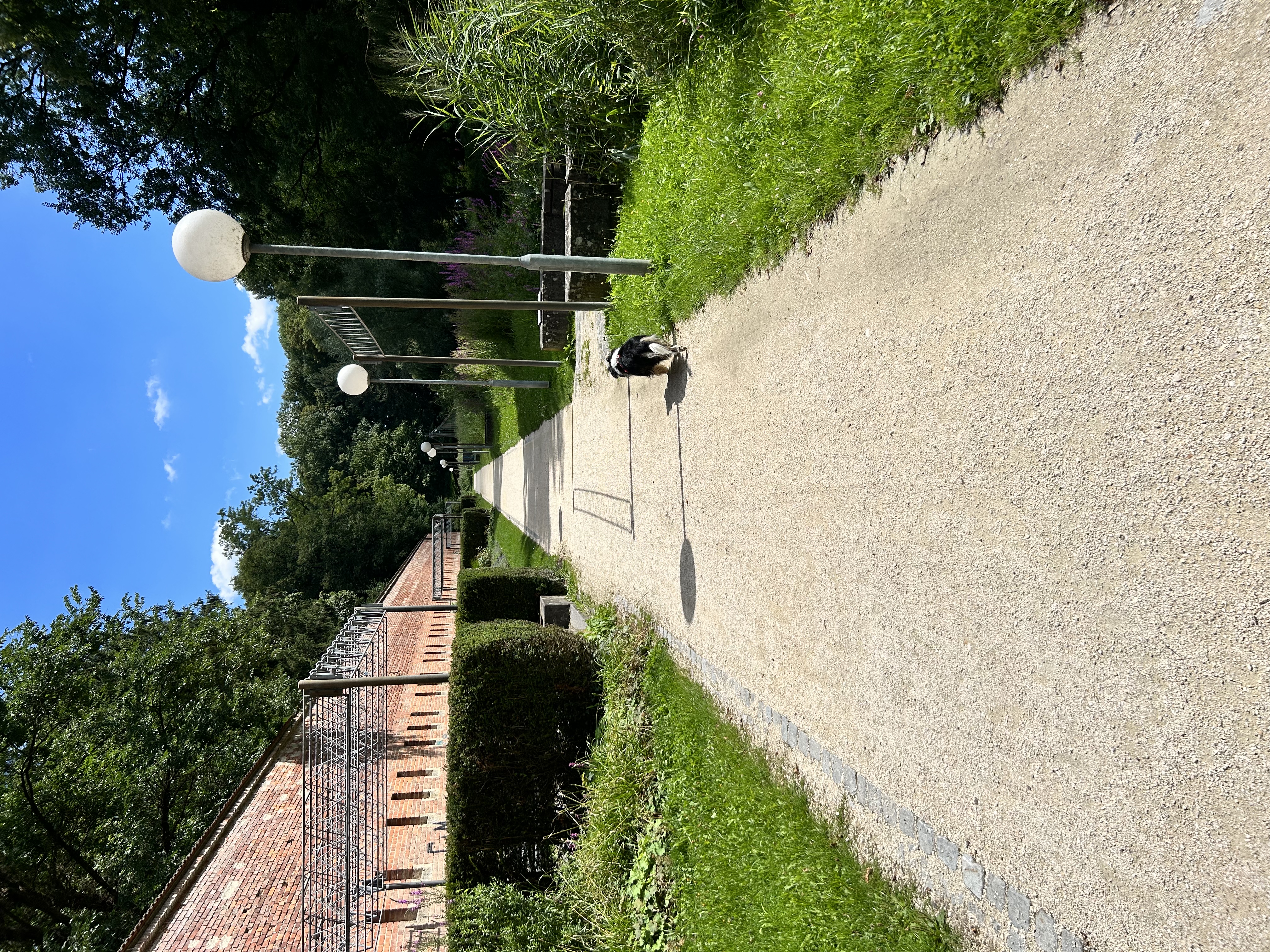 image-11