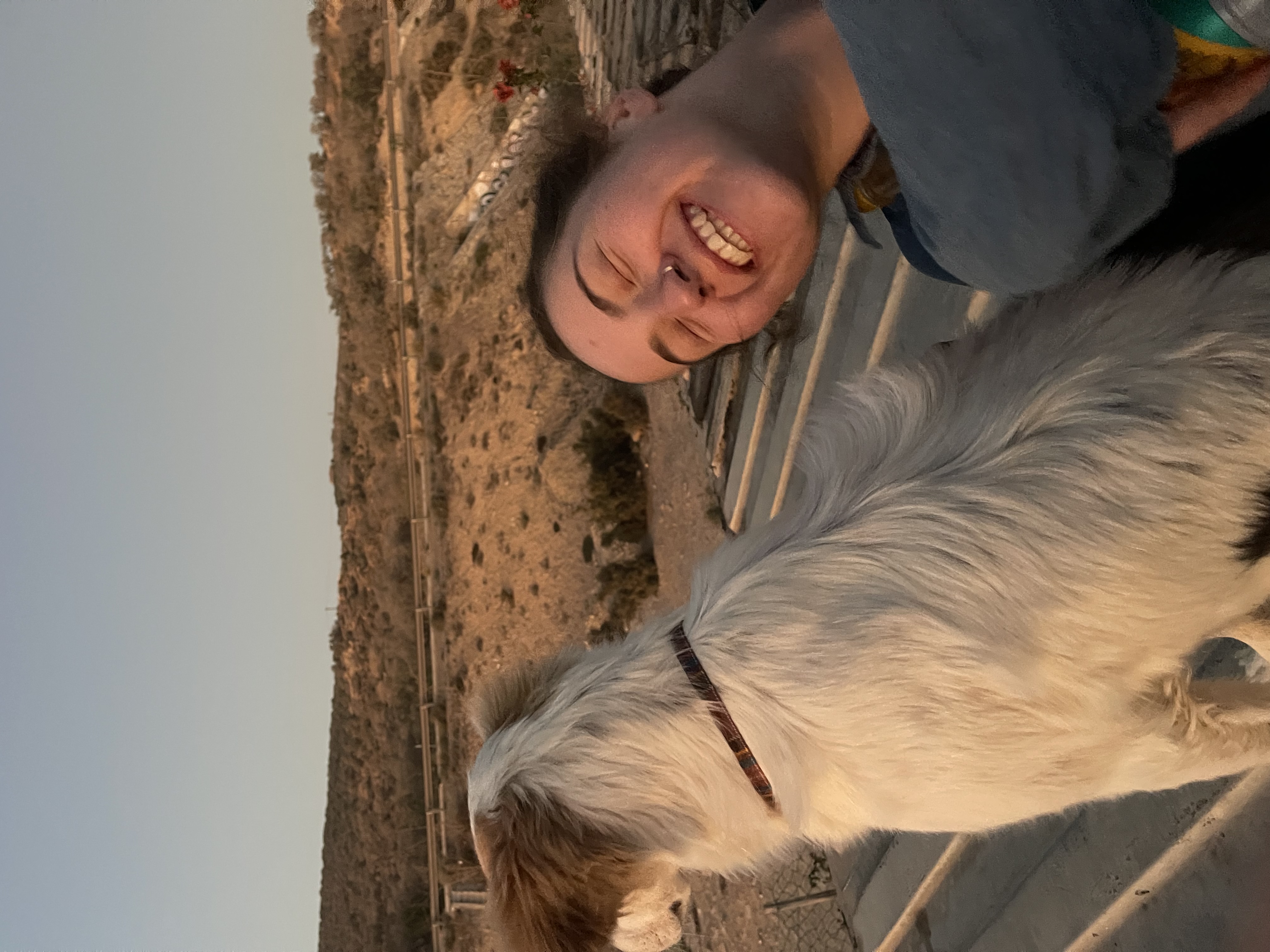 image-6