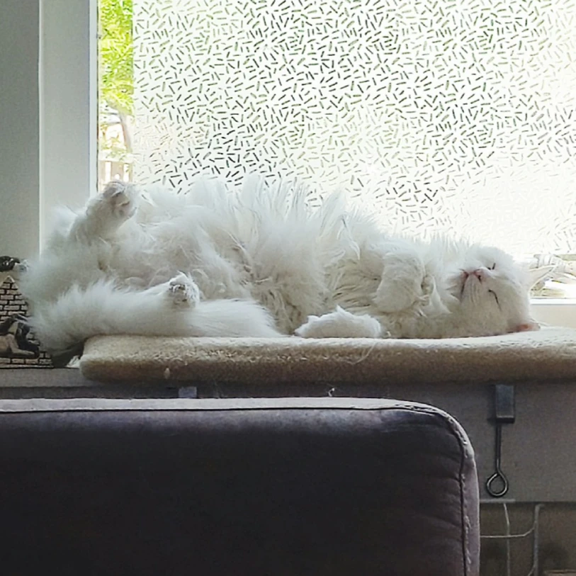 missy