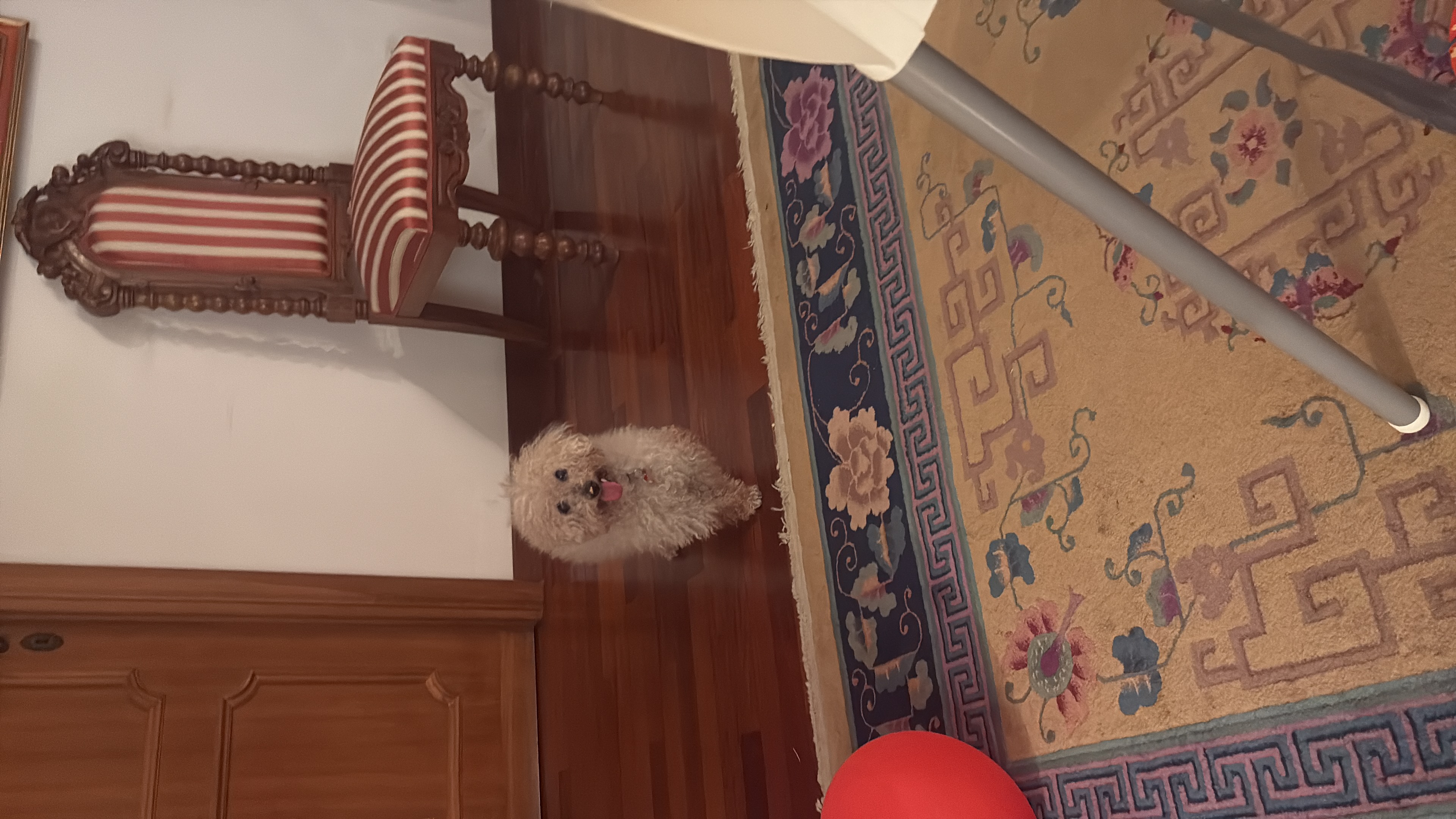 image-11