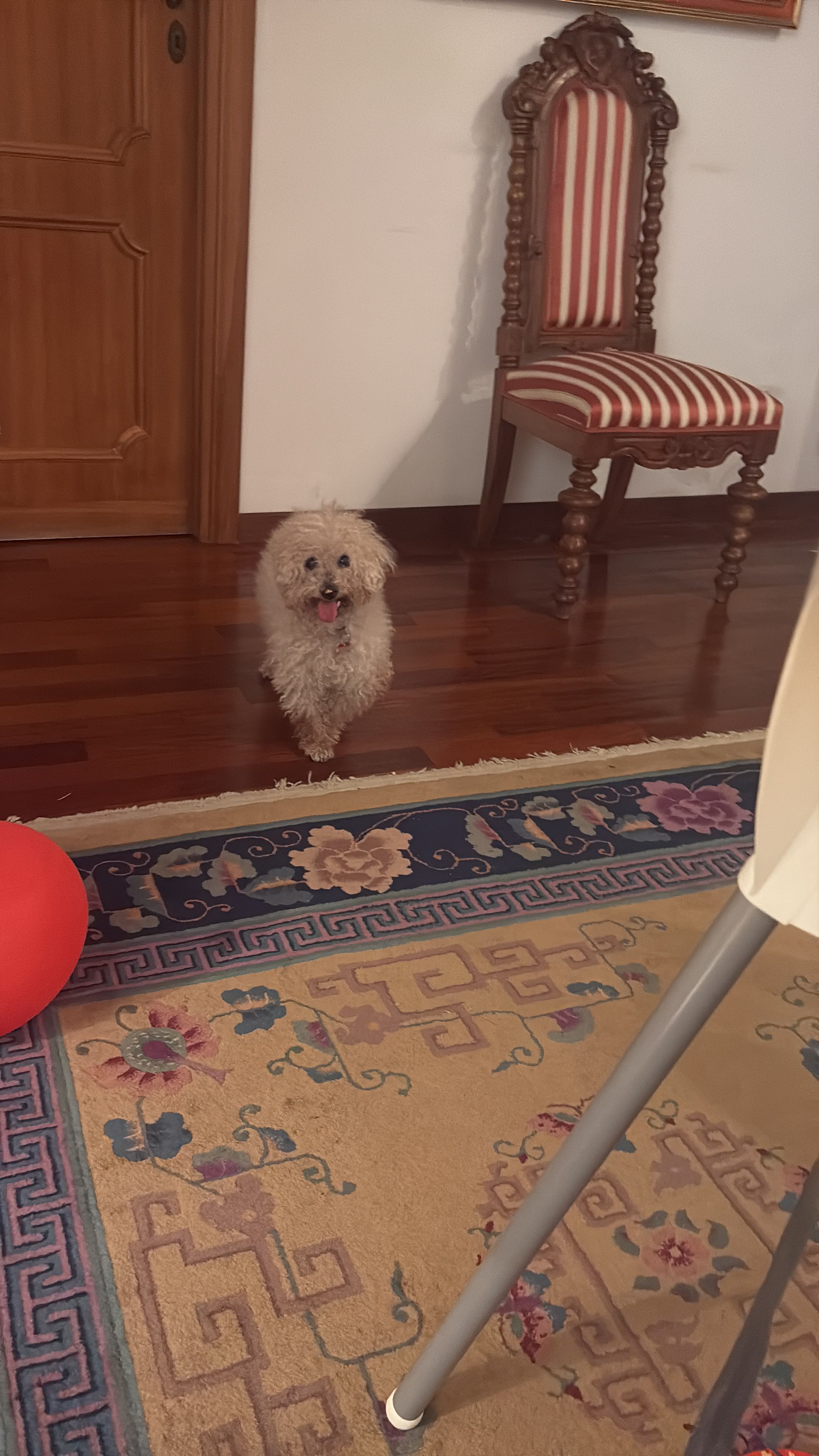 image-11