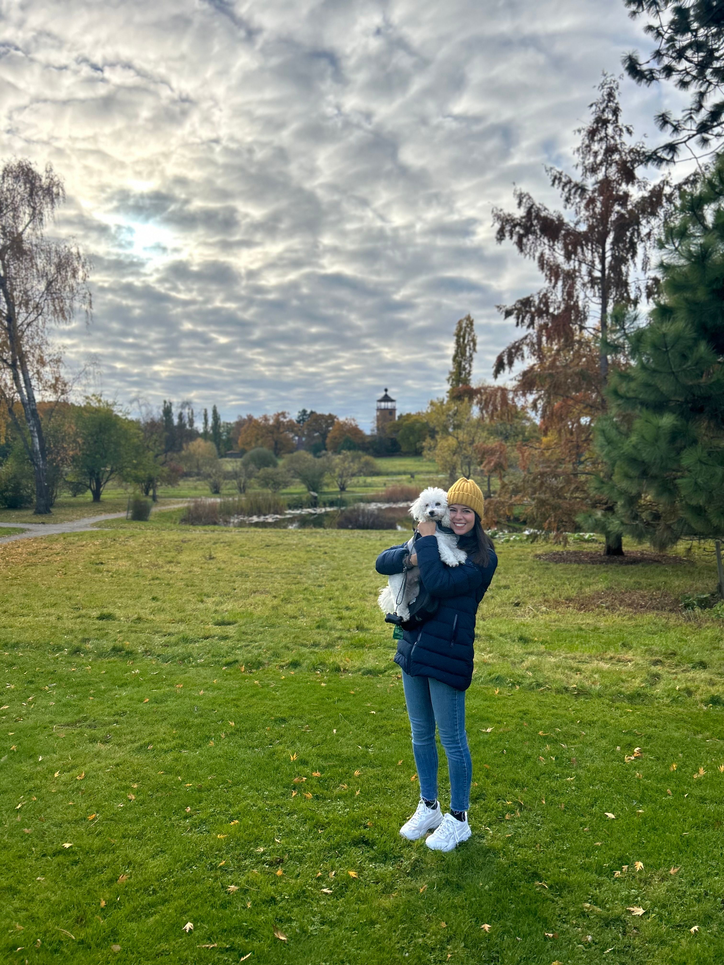 image-8
